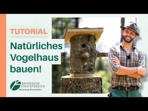 Vogelhaus selber bauen aus einem Baumstamm 🐦🪚 | Natürlicher Nistkasten aus Holz
