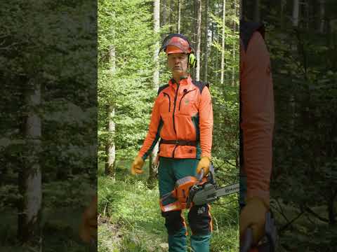 Comeback der Forst-Tutorials! 🌲 Brandner Sepp startet mit Fallkerb