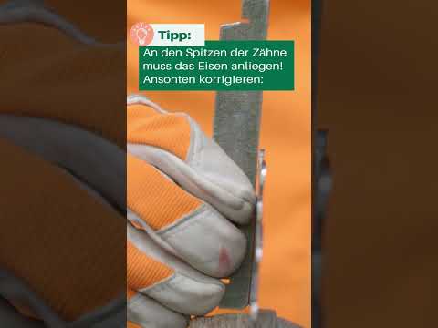 Wie schärfe ich ein Kreissägeblatt im Wald ohne Schraubstock? 🛠️ Tipps von Forstwirtschaftsmeister