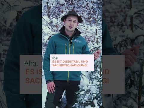 Ist das erlaubt? Weihnachtsbaum aus dem Wald 🌲❗#MythosCheck #Weihnachtsbaum #Weihnachten