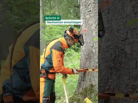 🌲 Rückhänger umkeilen!