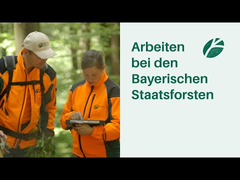 Arbeiten bei den Bayerischen Staatsforsten I Arbeitsplatz Wald 🌳🌲