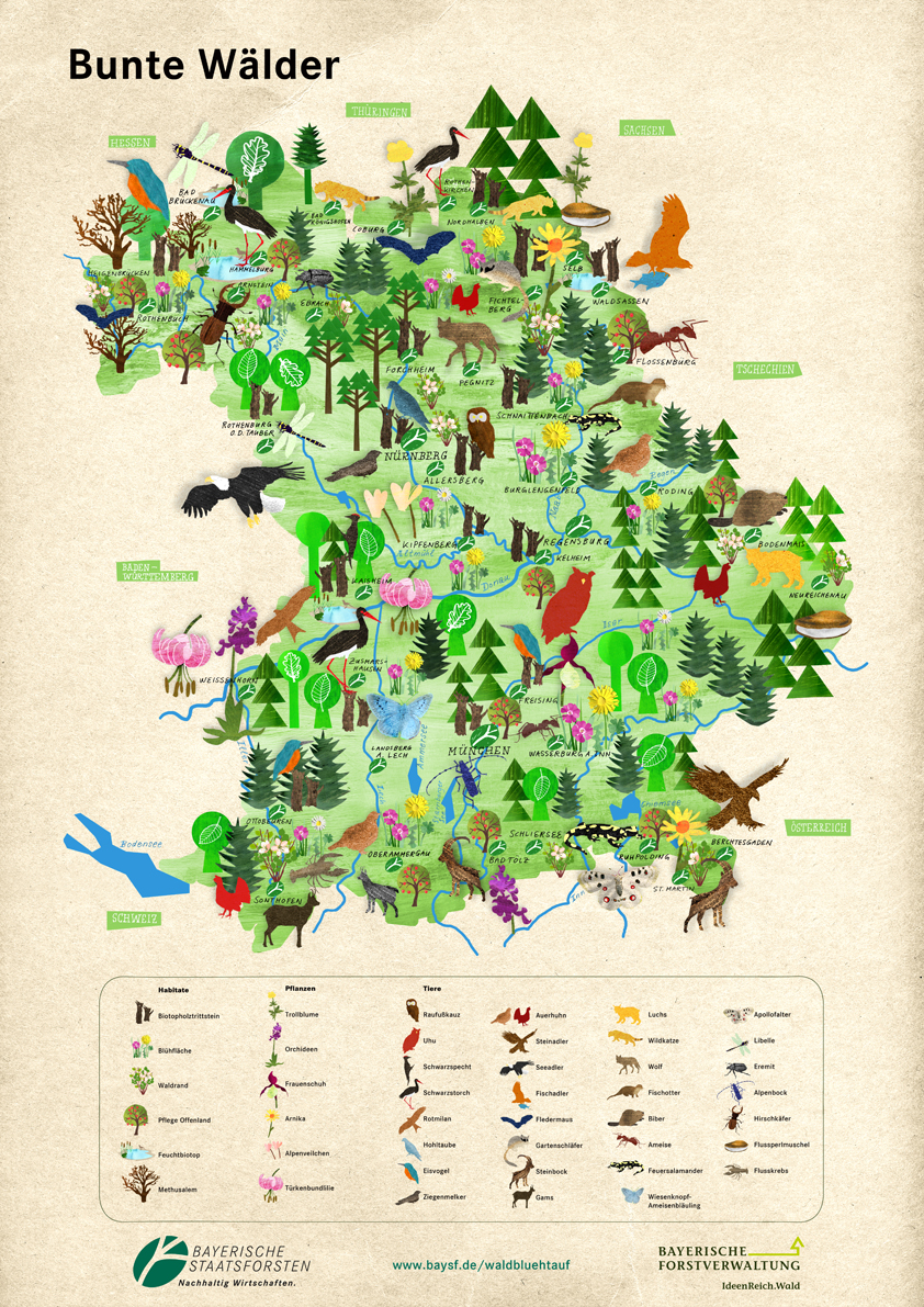 Bunte Wälder Karte