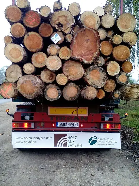 Gestapelte Baumstämme auf der Ladefläche eines Lastwagens.