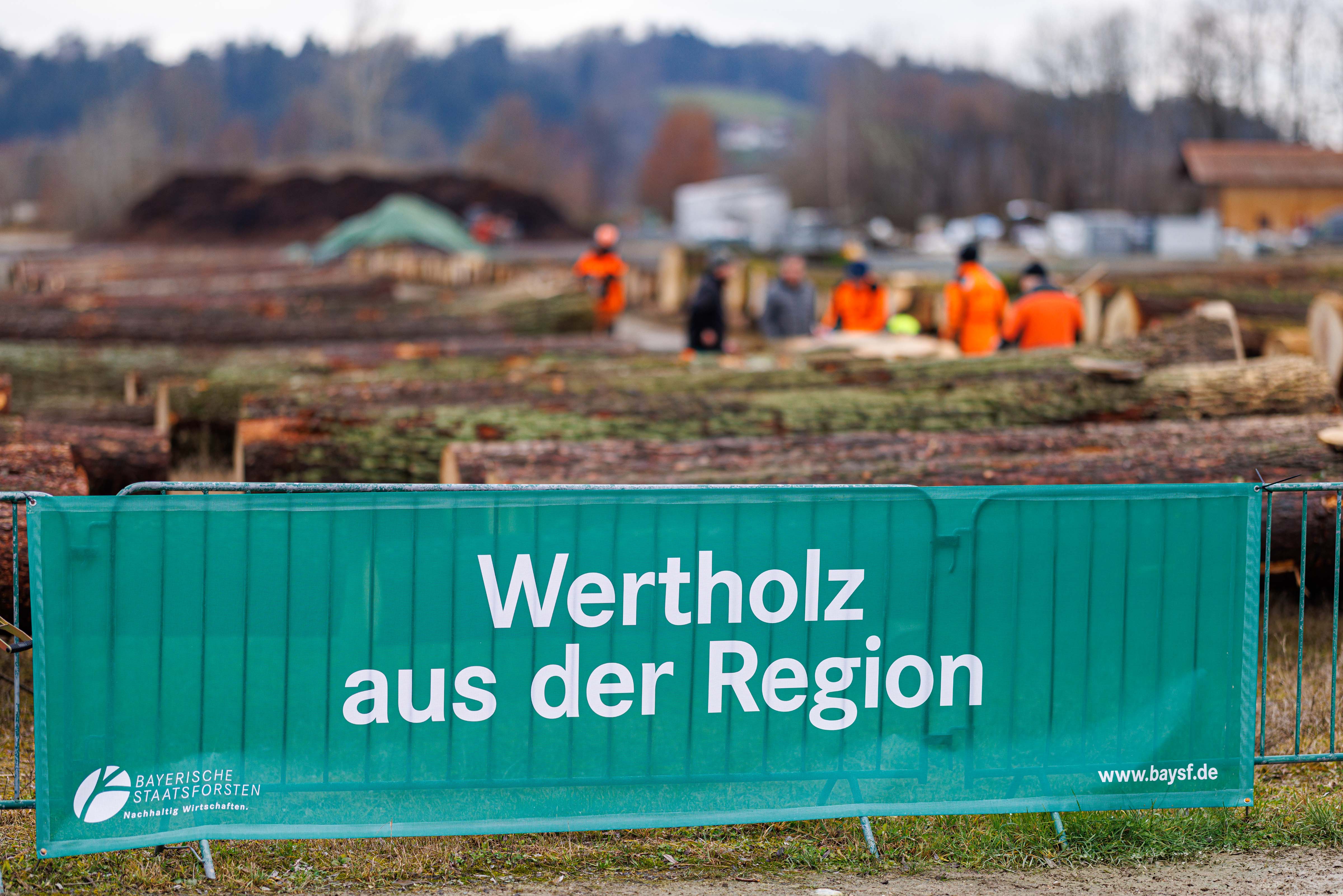Banner mit der Aufschrift &quot;Wertholz aus der Region&quot;