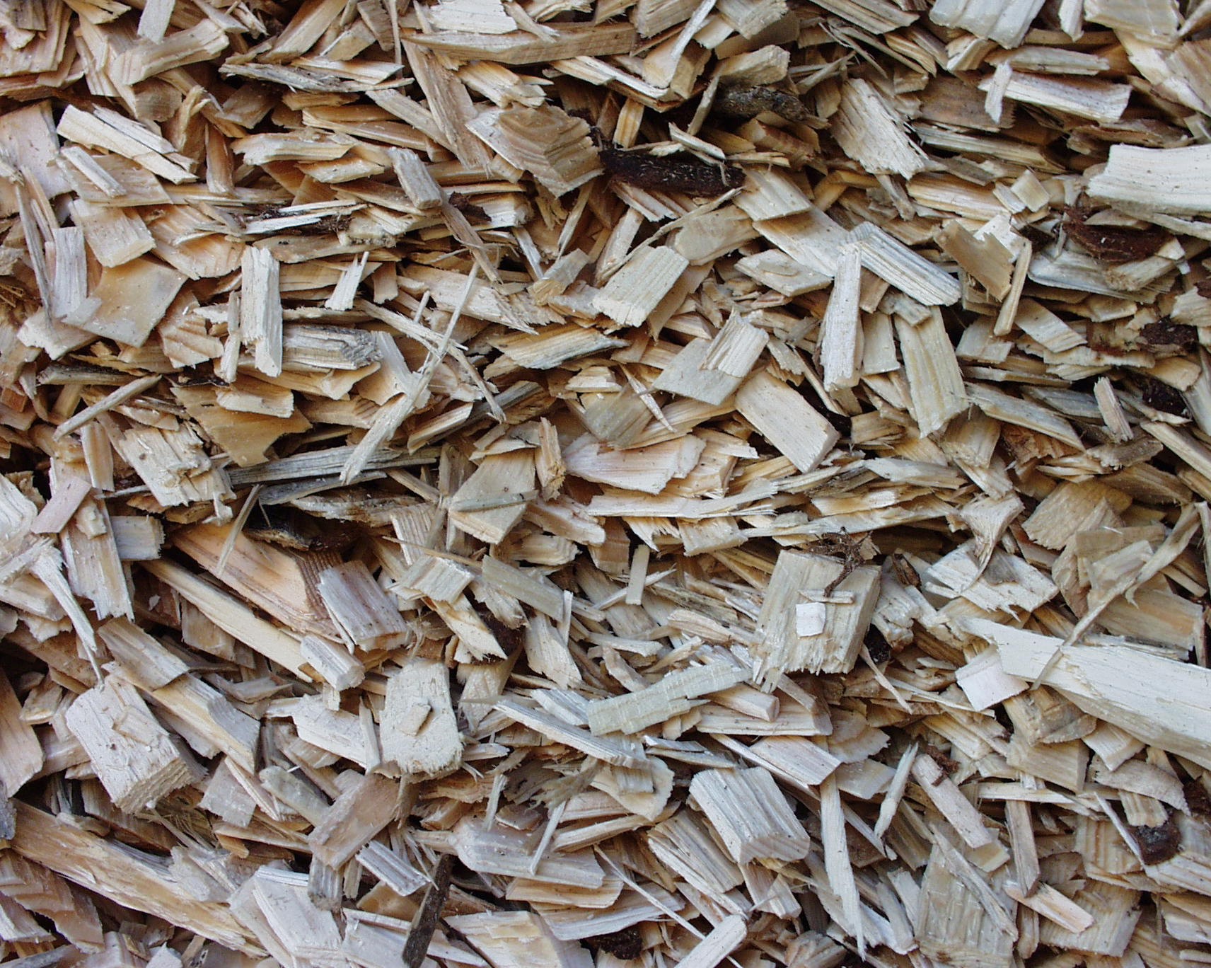 Energieholz – erneuerbare Energie für eine nachhaltige Zukunft