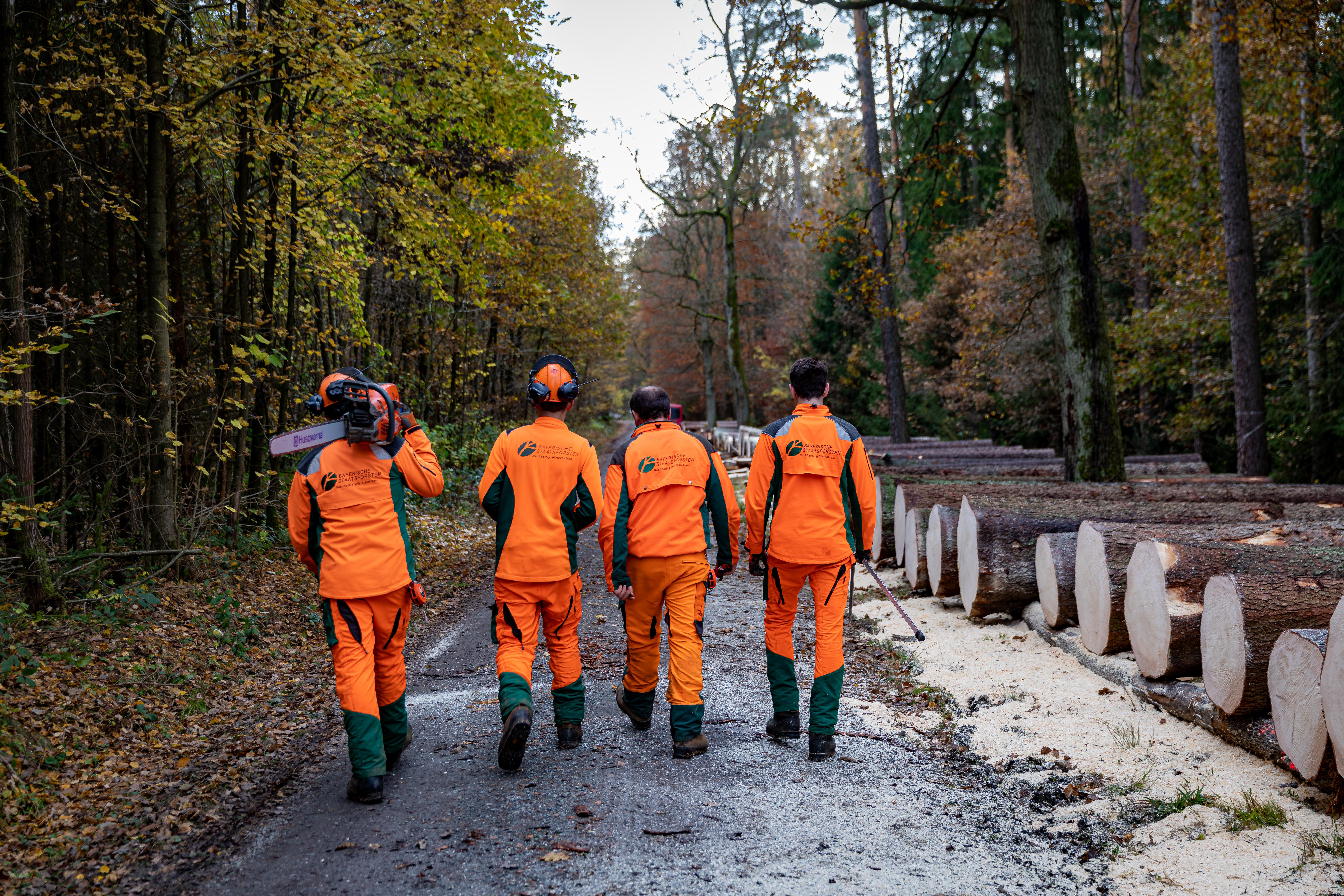 Waldarbeiter im Einsatz – gemeinsam mit den Kundenbetreuern Holz sorgen sie für nachhaltige Holzernte und persönlichen Service für unsere Kunden.