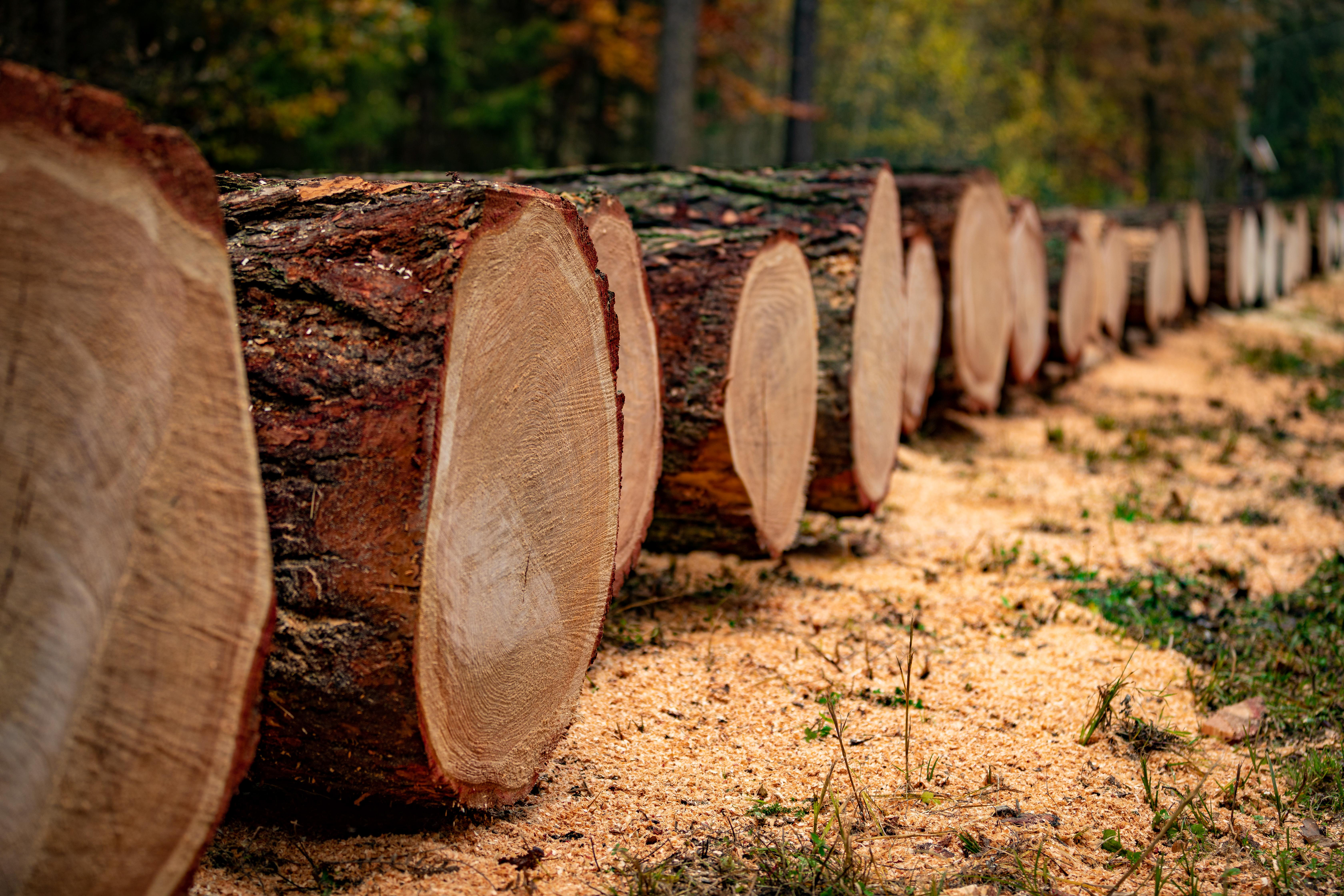 Innovative Produkte für eine nachhaltige Zukunft