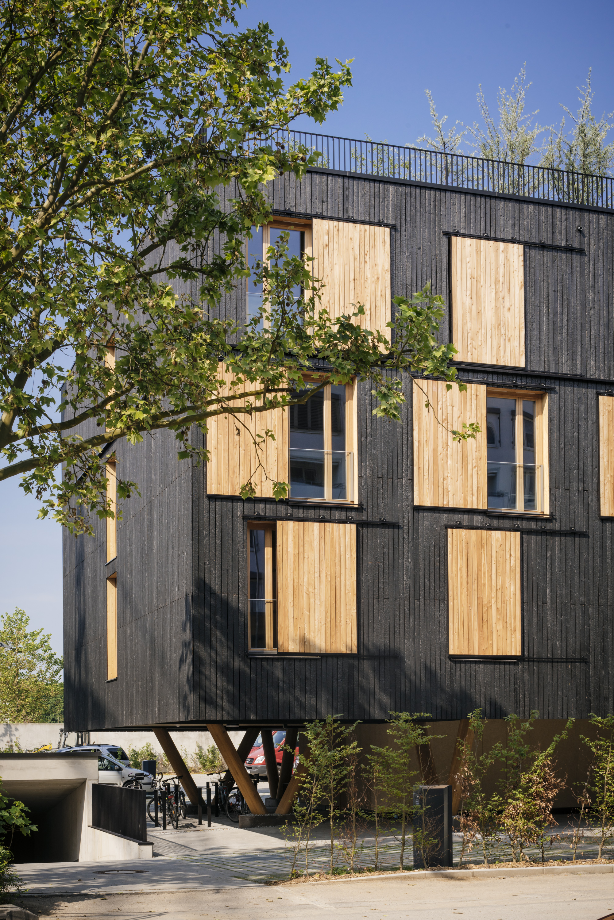 Das Haus auf Stelzen steht direkt neben der Zentrale der Bayerischen Staatsforsten