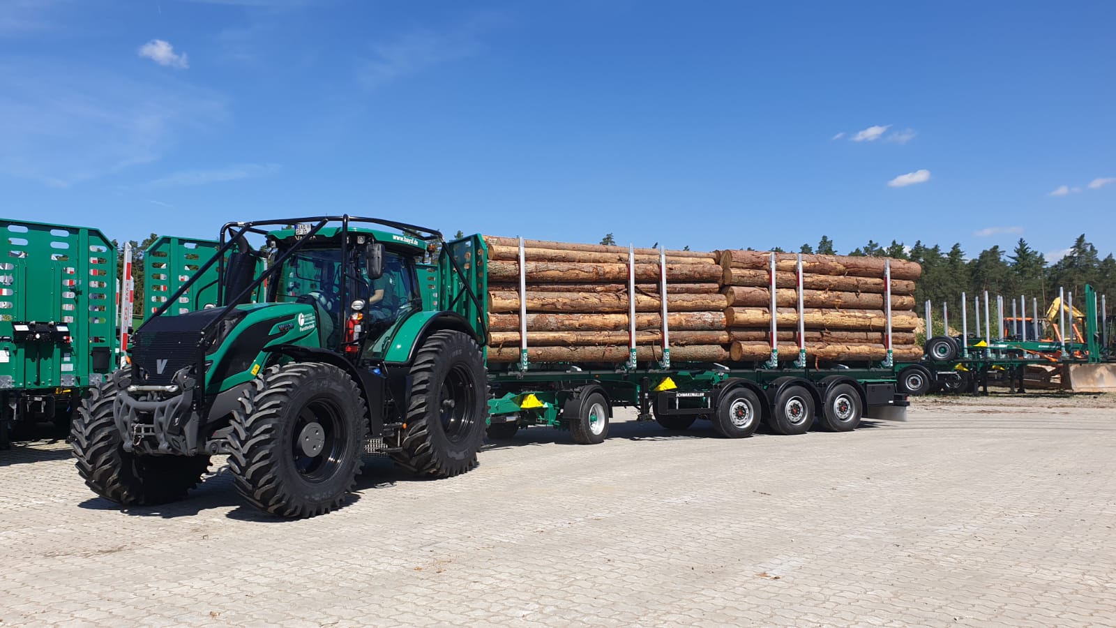 Abtransport von frischem Holz