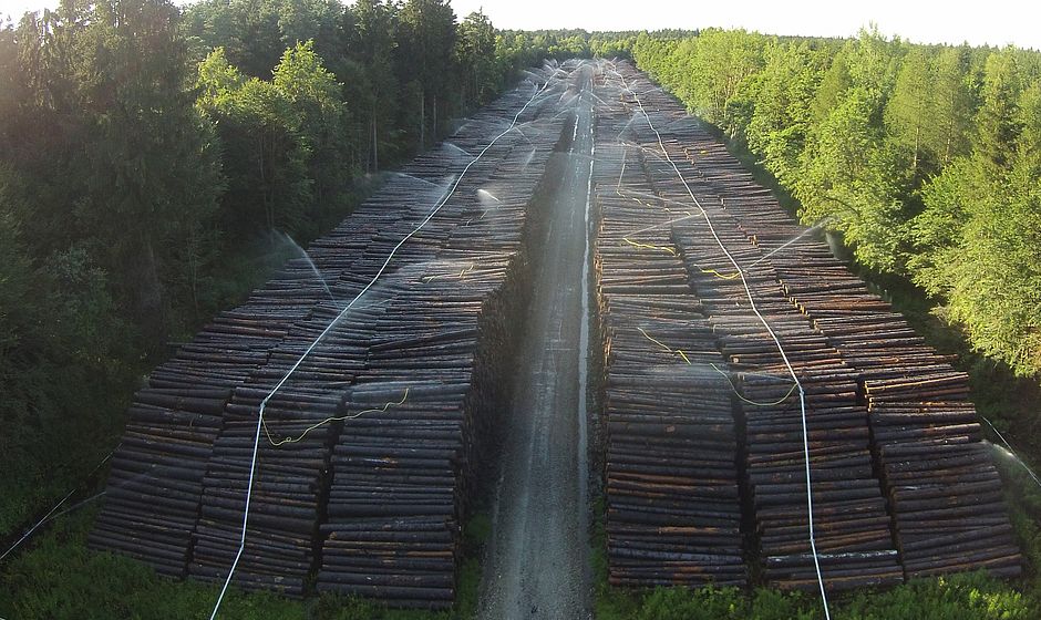 Insgesamt gibt es im Bayerischen Staatswald 21 Nasslager, die von den Bayerischen Staatsforsten betrieben werden.