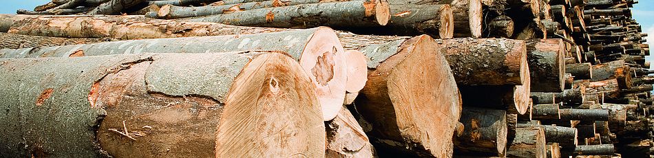 Industrieholz – vielseitig und nachhaltig für moderne Anwendungen