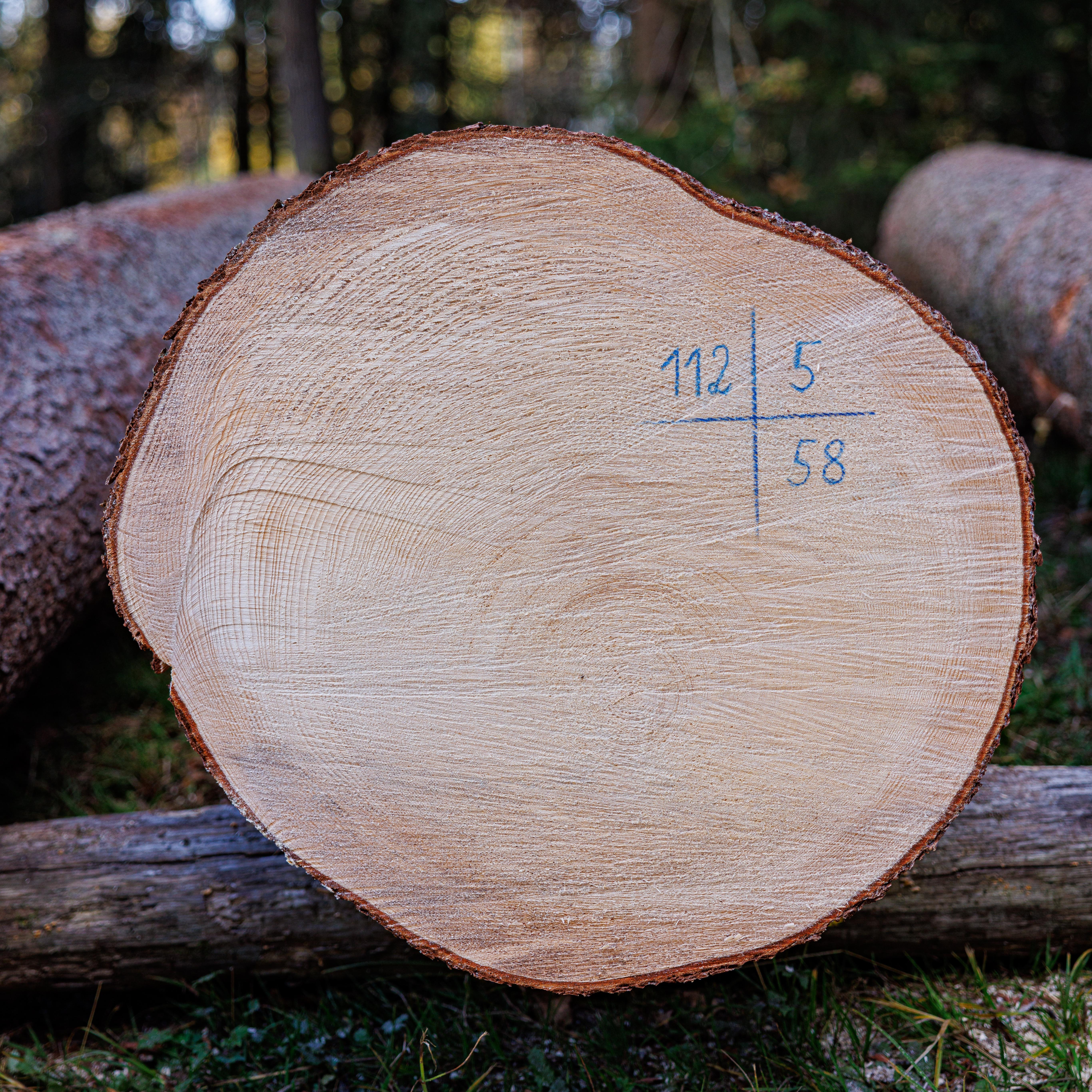 Entdecken Sie erstklassiges Wertholz auf unserer digitalen Wertholzbörse