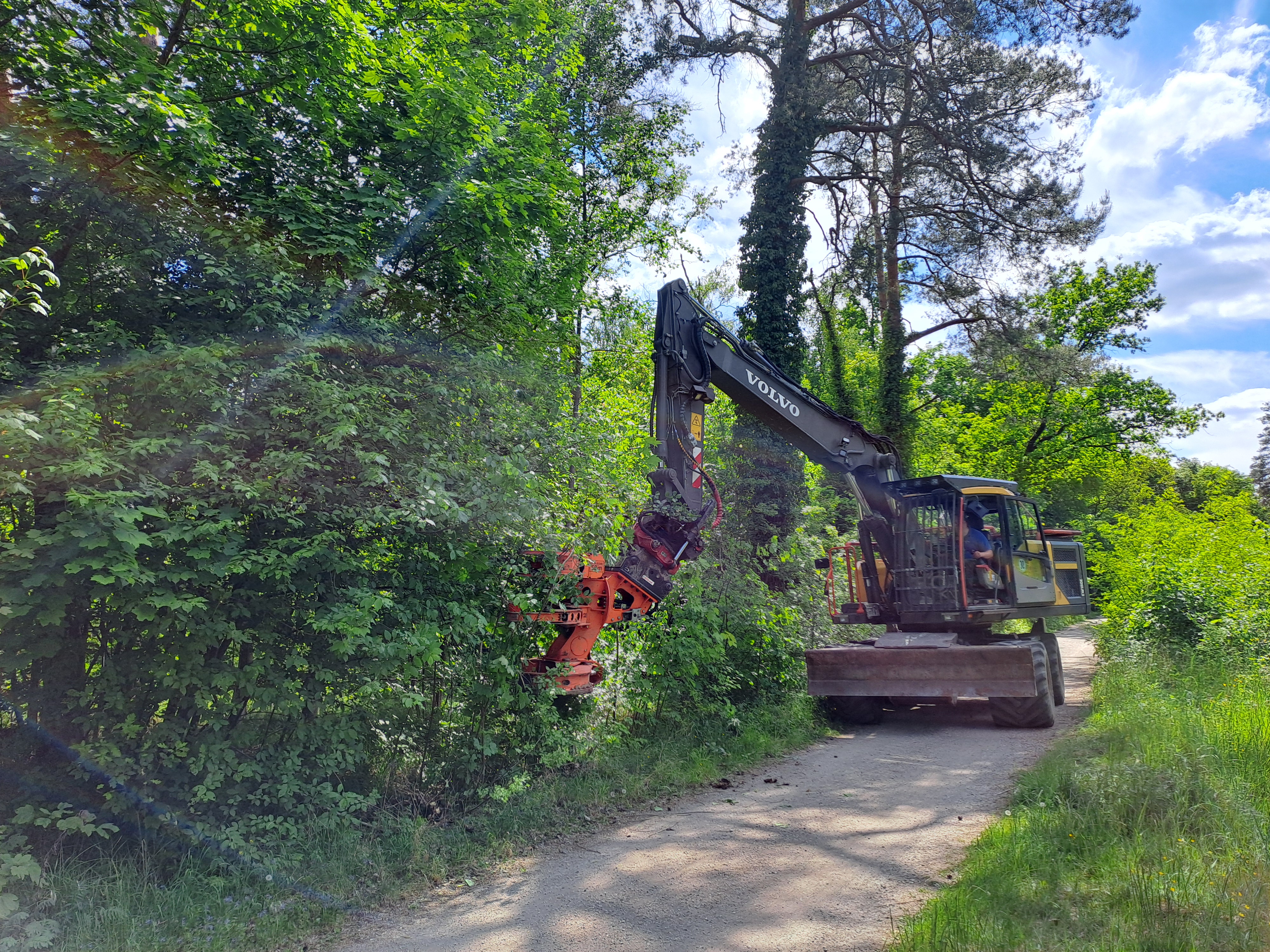 Ein Zwickbagger macht Wege im Tennenloher Forst frei.