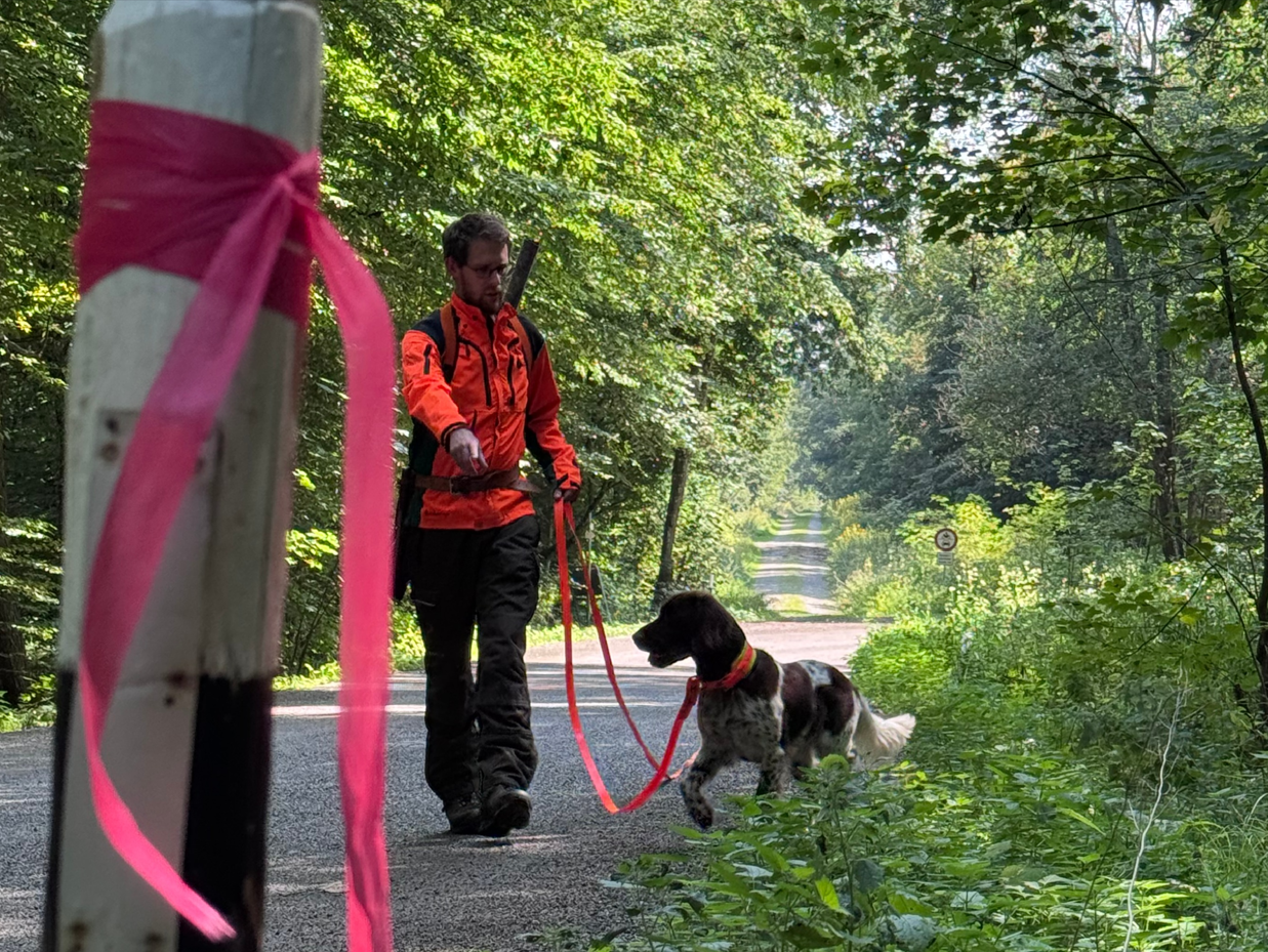 Nachsuche Spürhund mit Förster