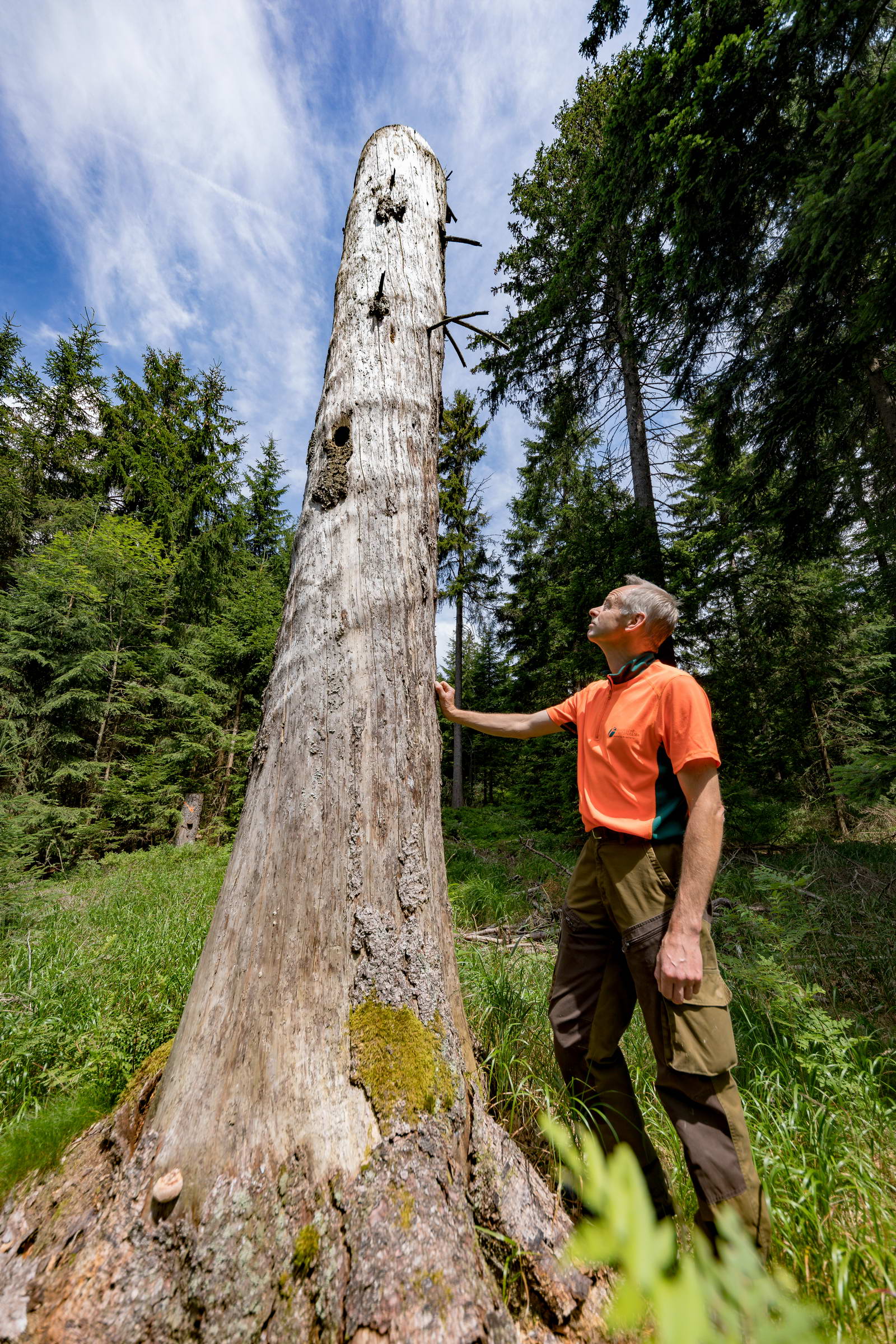 Ein BaySF Mitarbieter vor einem Tiotopholz