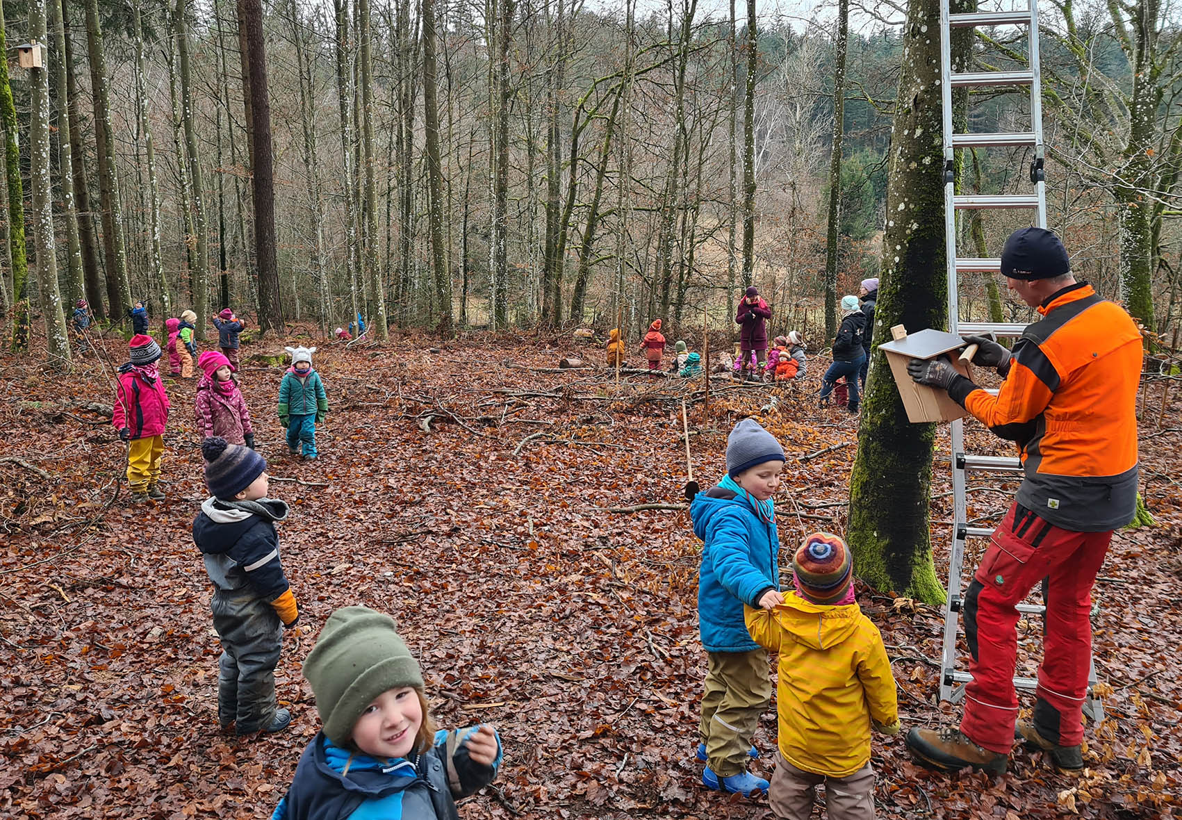 Kinder des Waldkindergartens helfen beim Pflanzen
