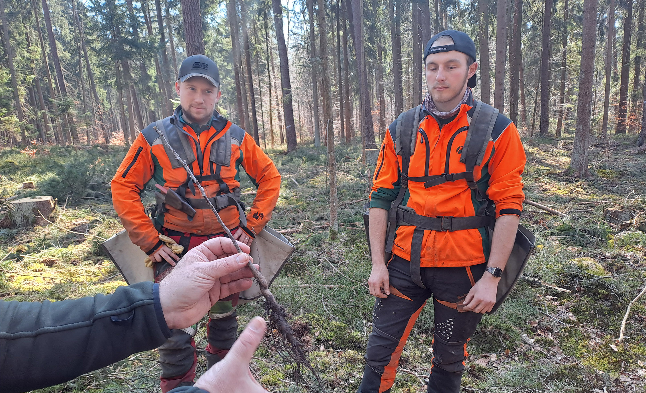 Zwei Forstwirte im Wald, im Vordergrund zeigt ein Kollege eine Pflanze mit Wurzeln