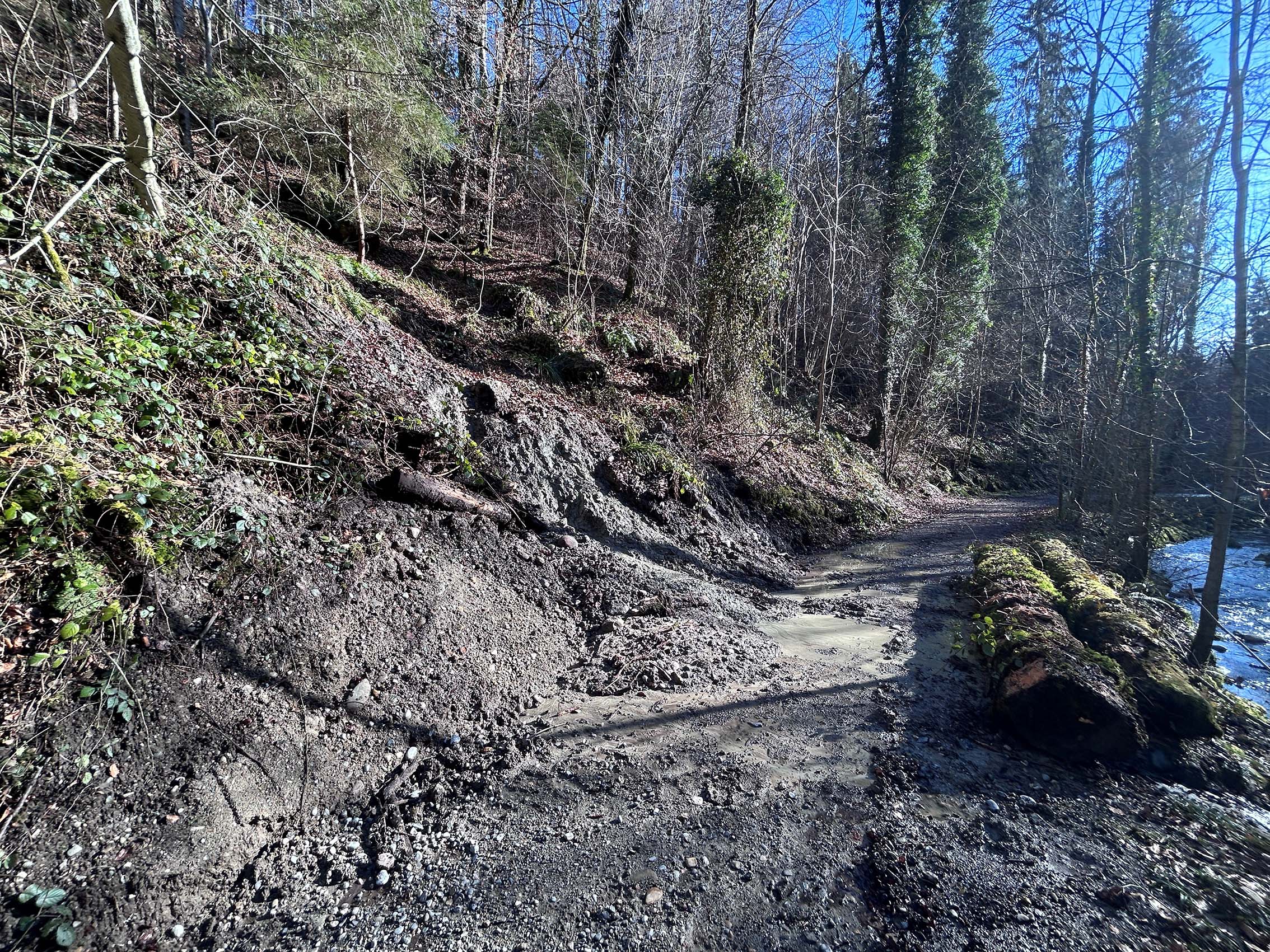 Abgerutschter Hang im Wald