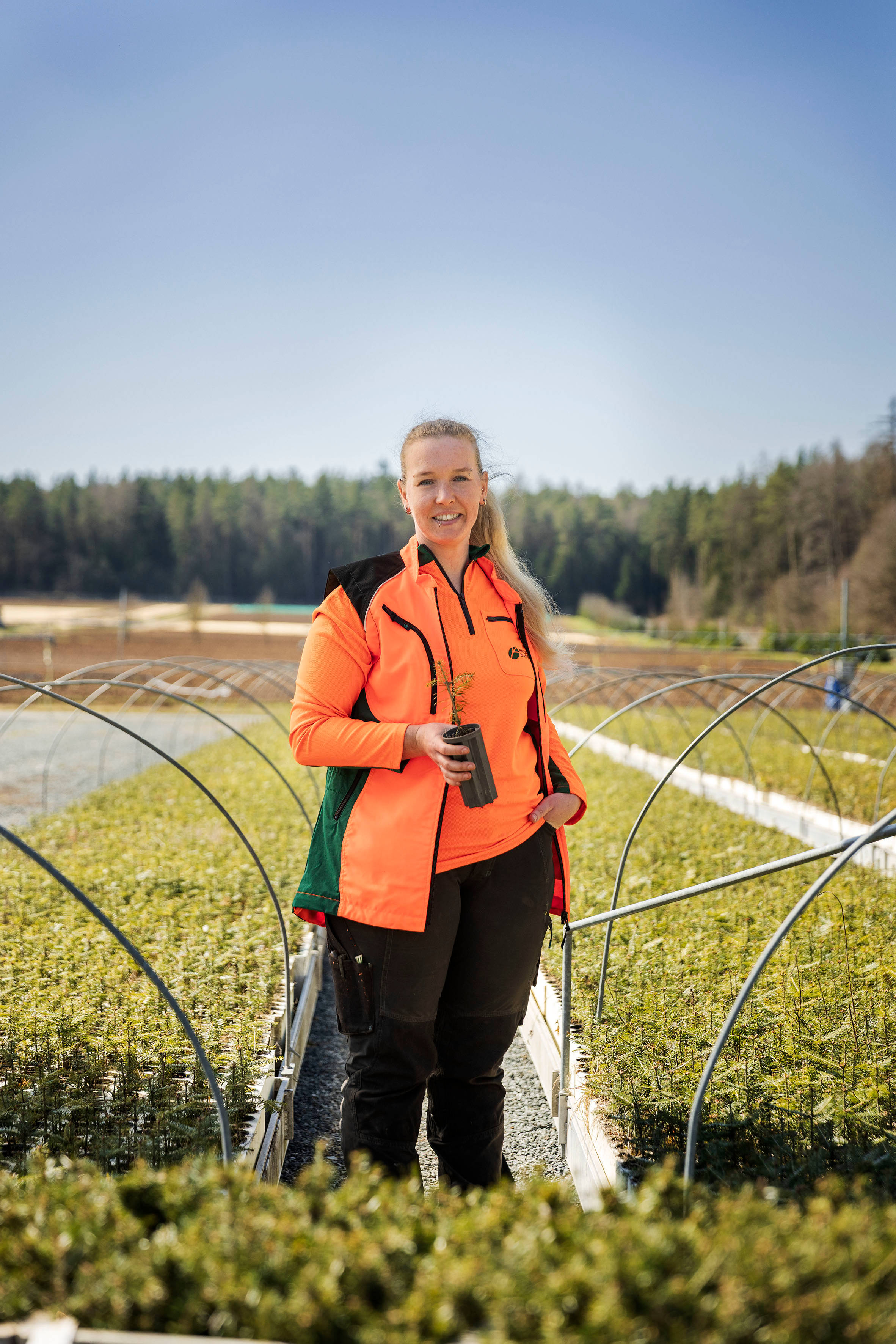 Frau steht in Pflanzgarten zwischen jungen Baumreihen
