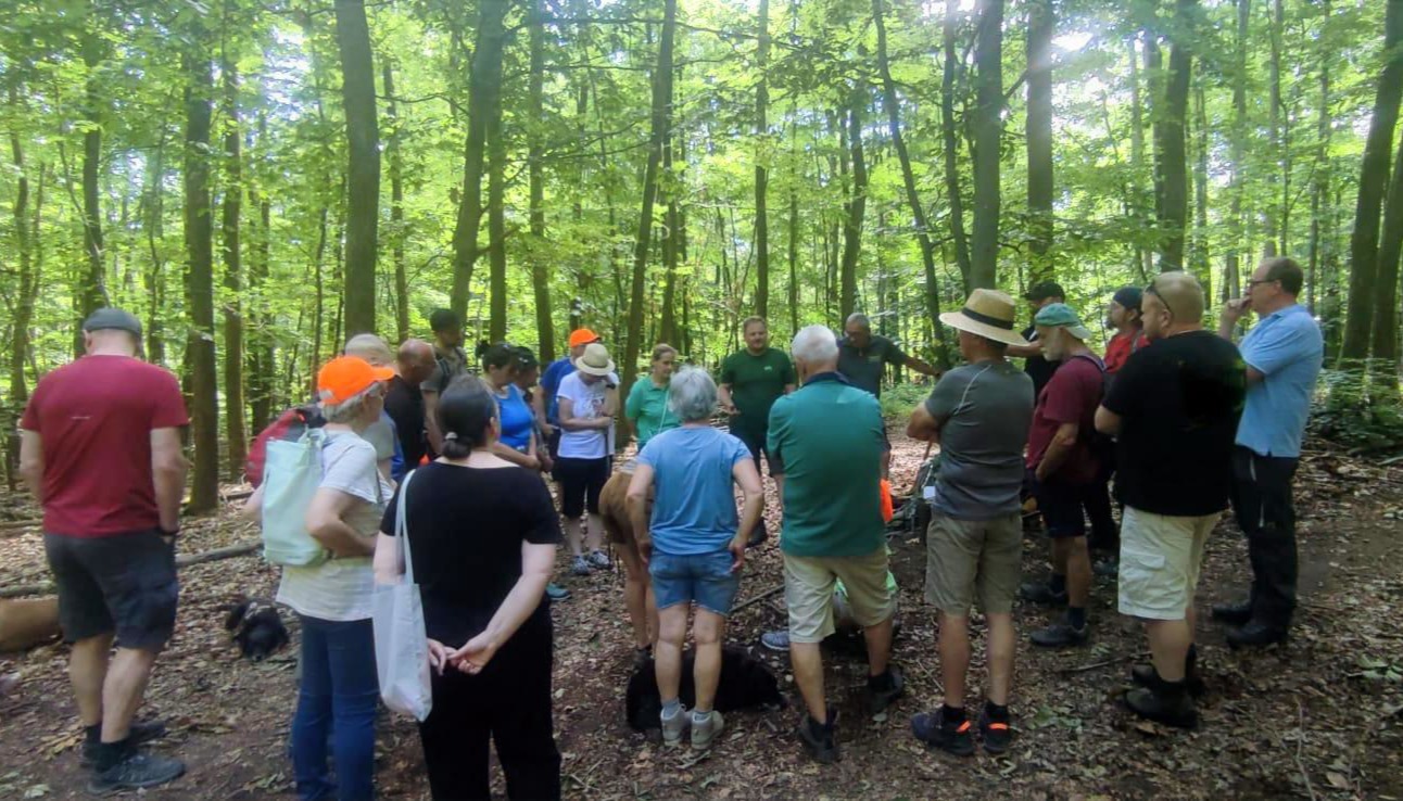 Leute stehen um Förster bei Waldführung