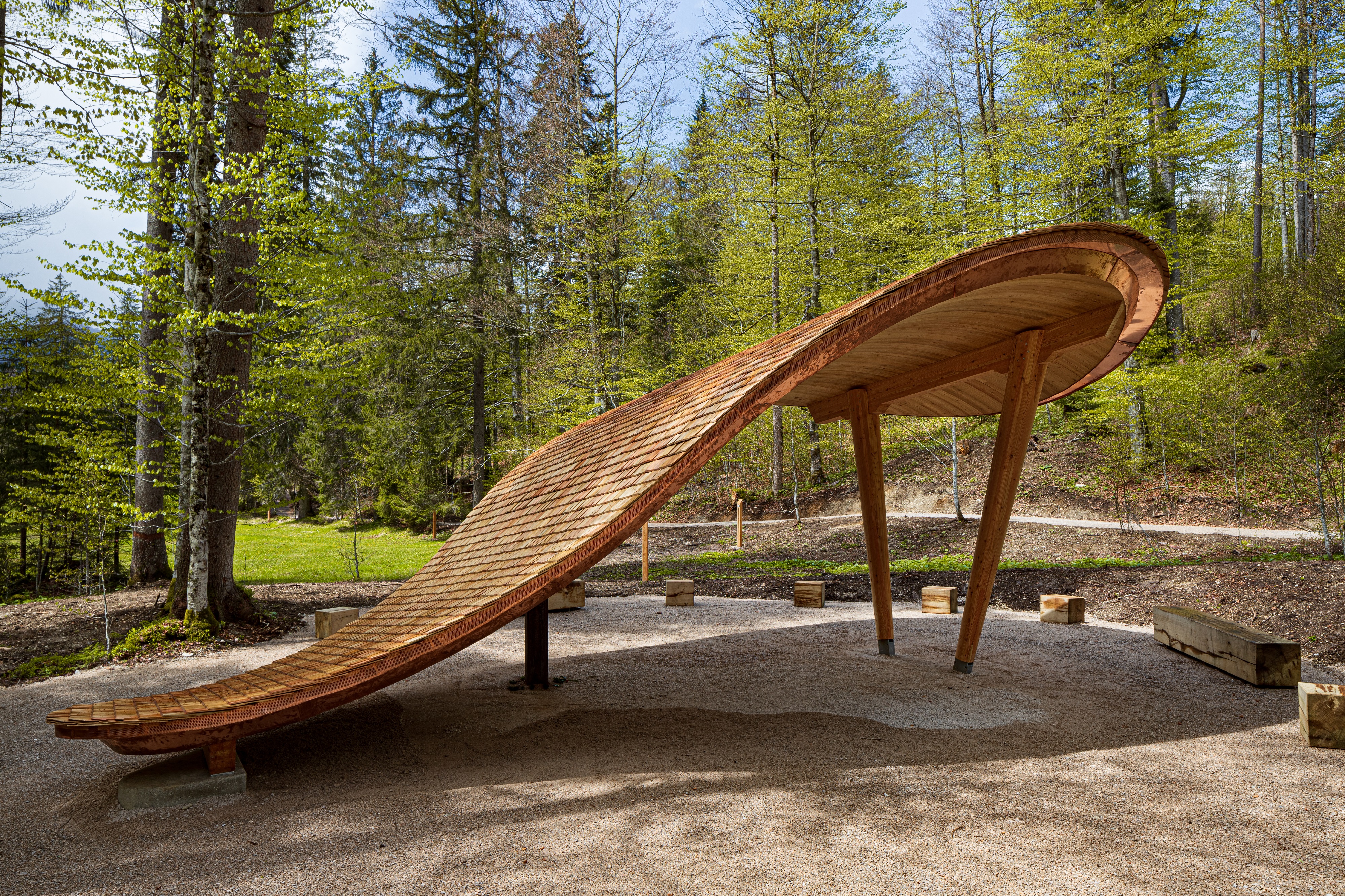 Stiller Wald Mittenwald