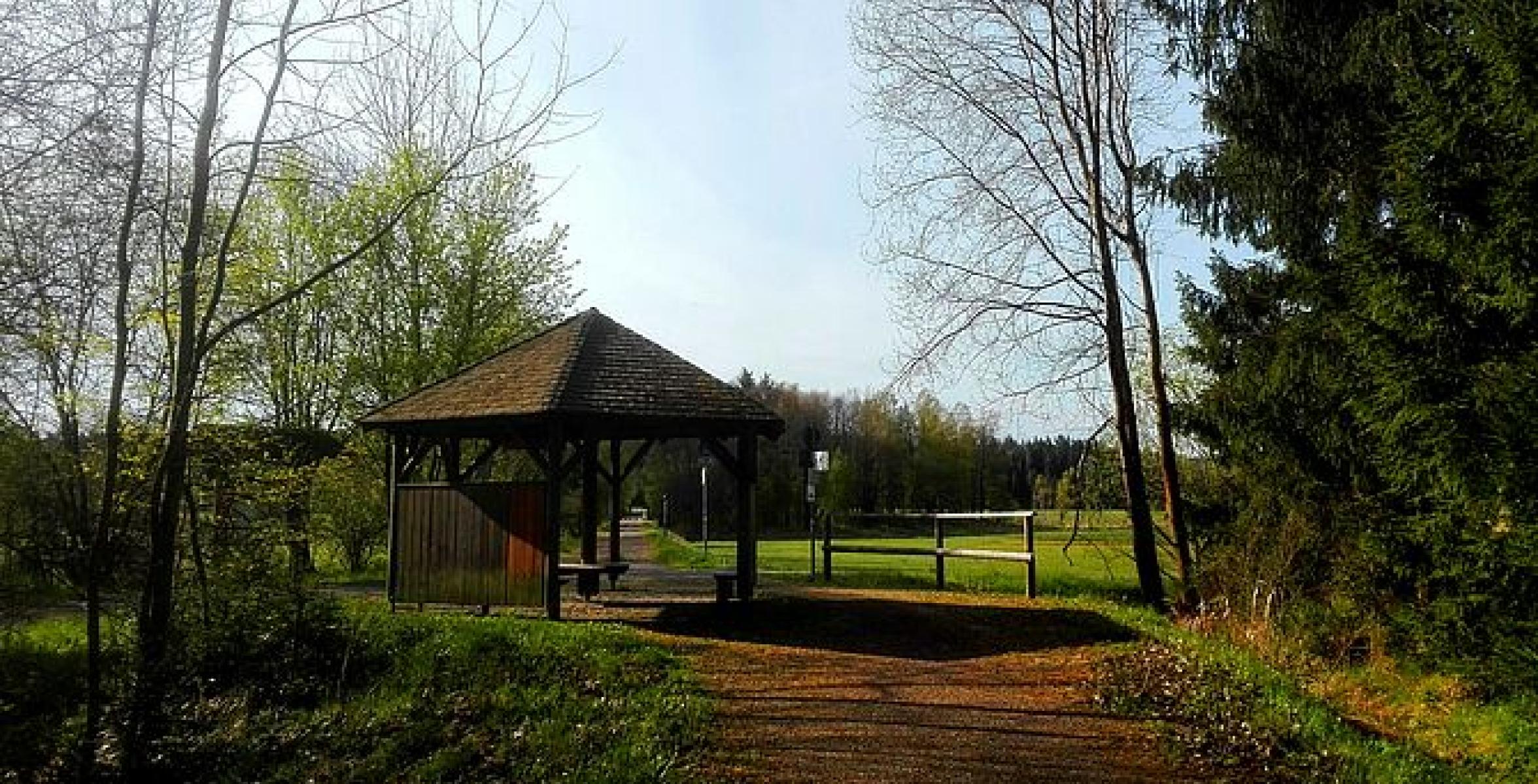Haus im Wald