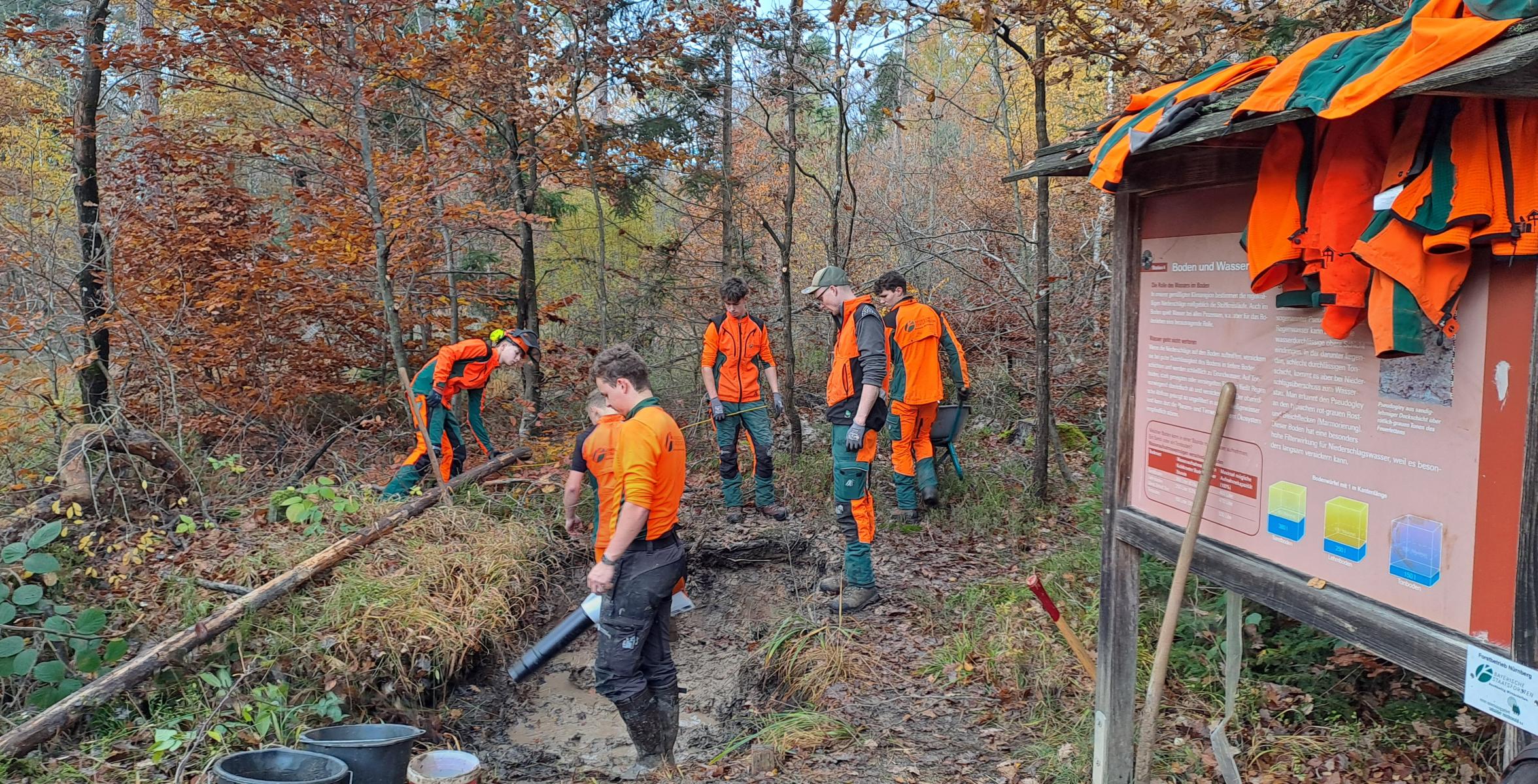 BaySF-Azubis beim Arbeiten am Bodenlehrpfad Kalchreuth
