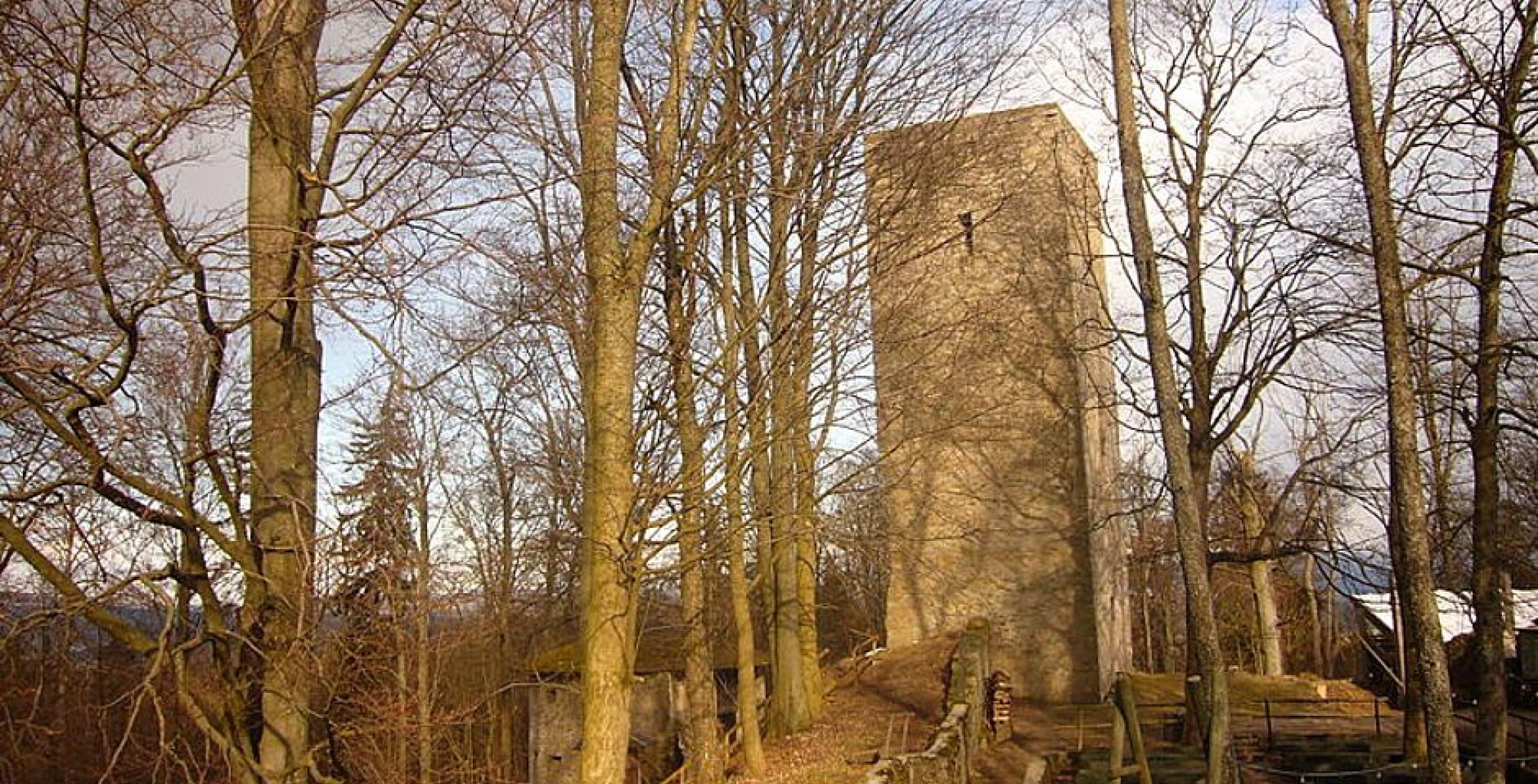 Burgruine