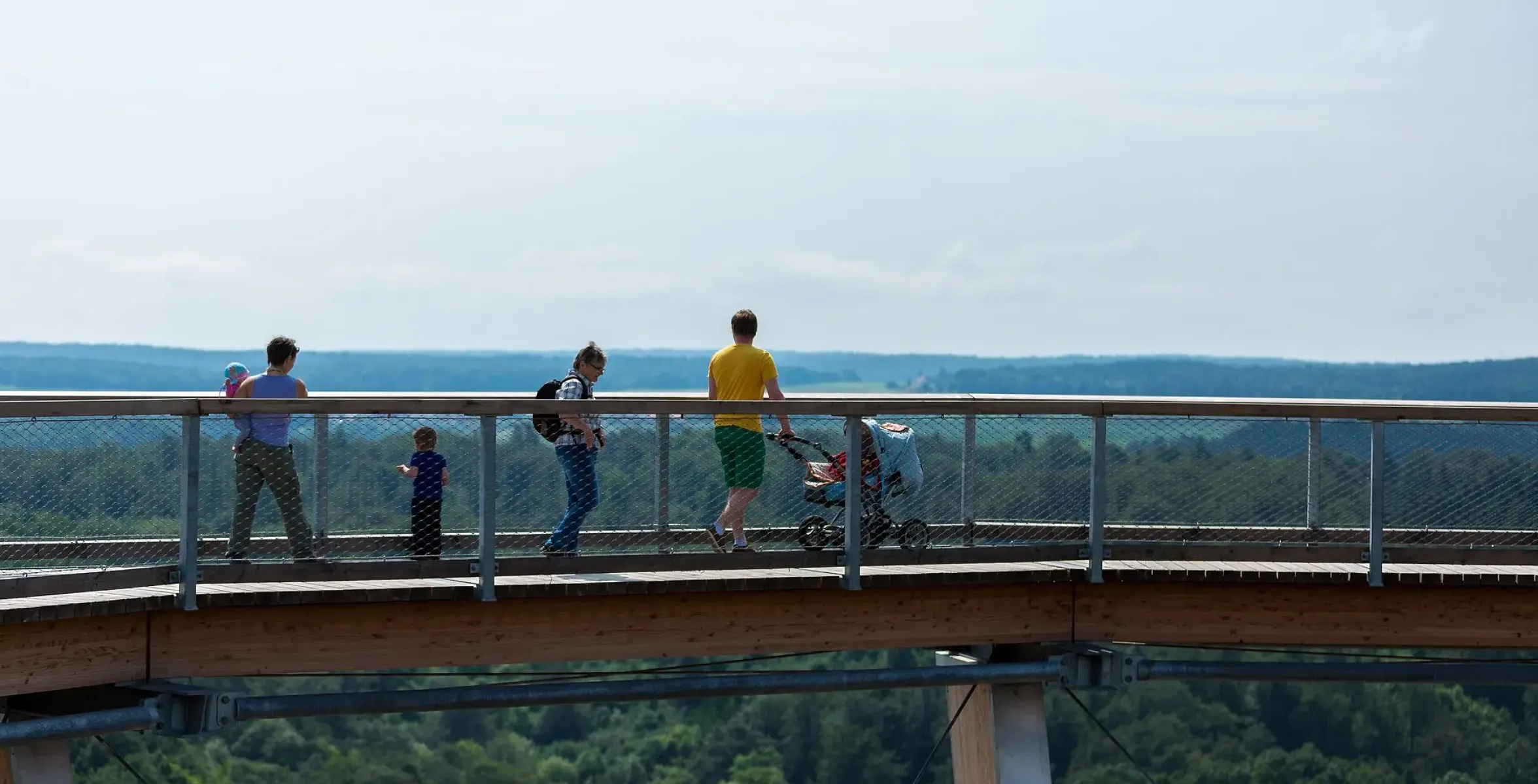 Ausblick_Baumwipfelpfad