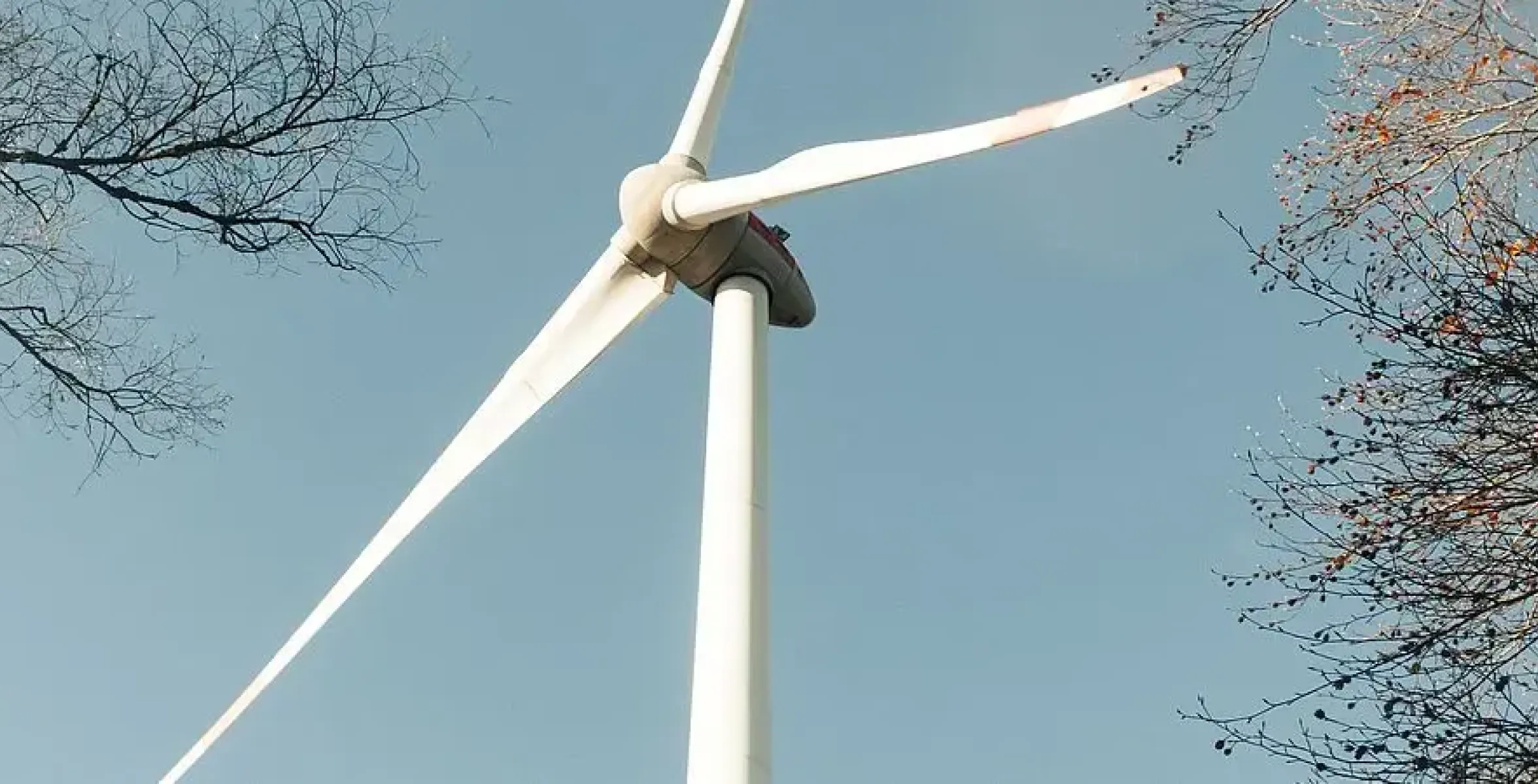 Windkraftanlage zwischen kahlen Ästen unter blauem Himmel.