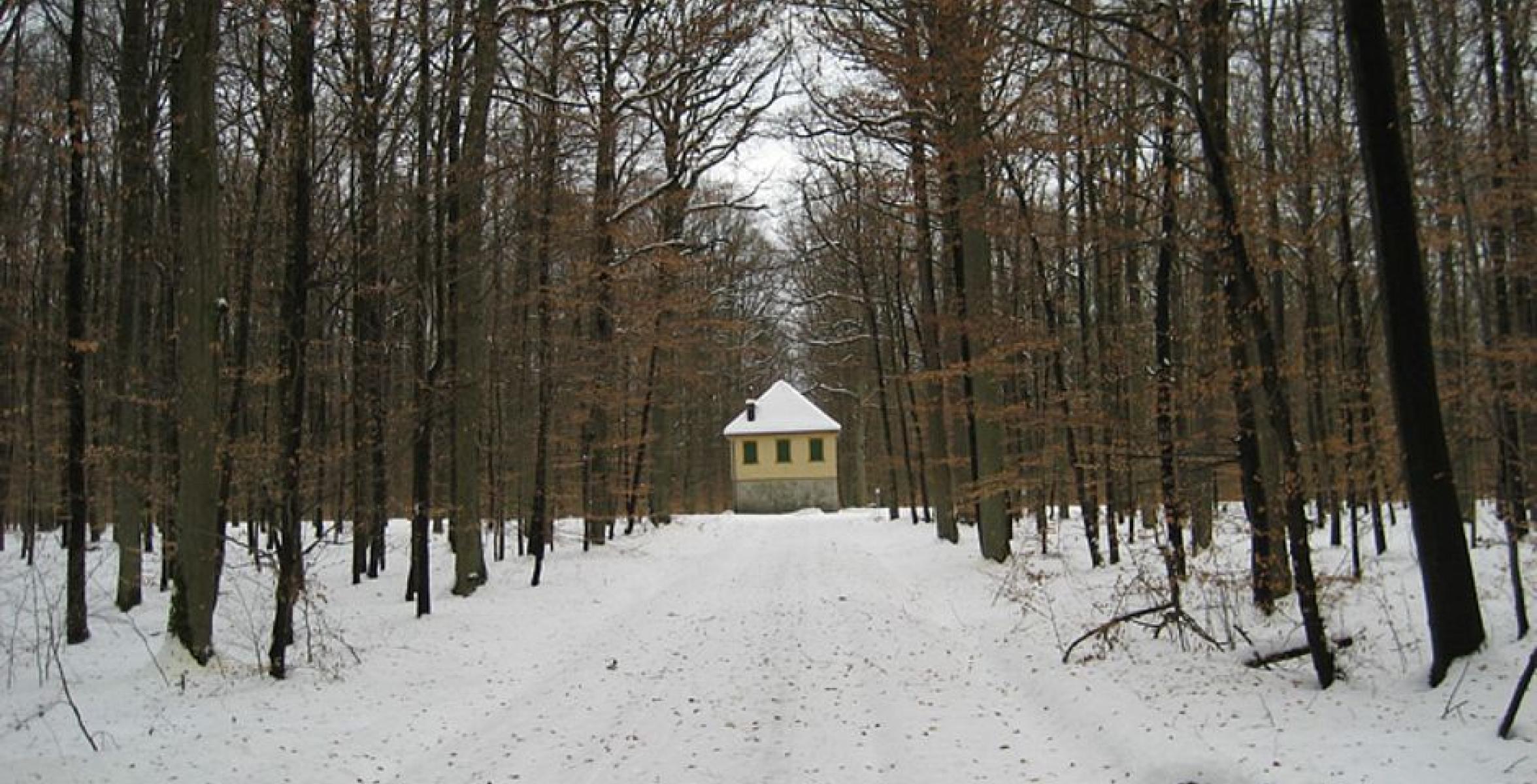 Haus im Wald mit Schnee