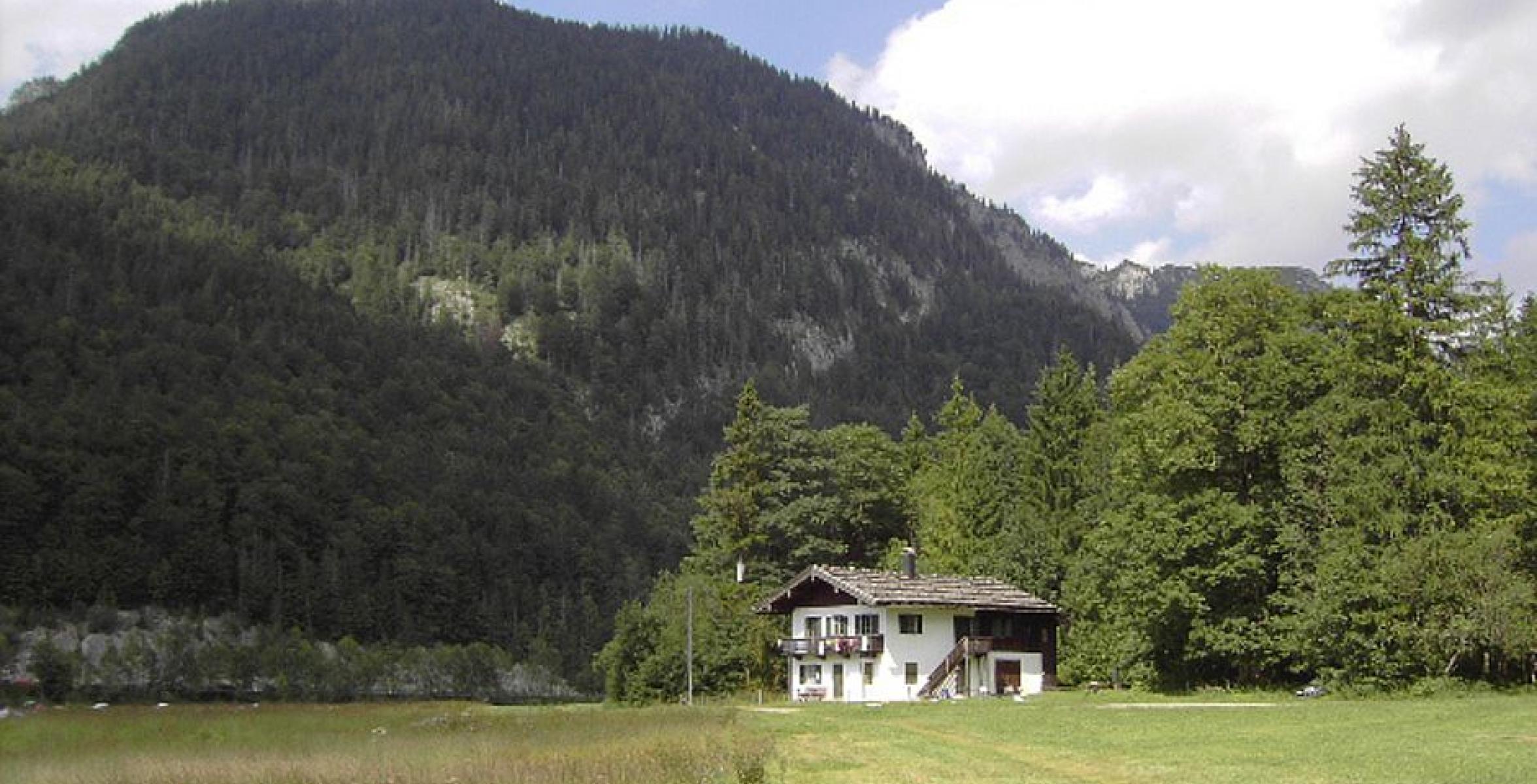 Haus im Wald