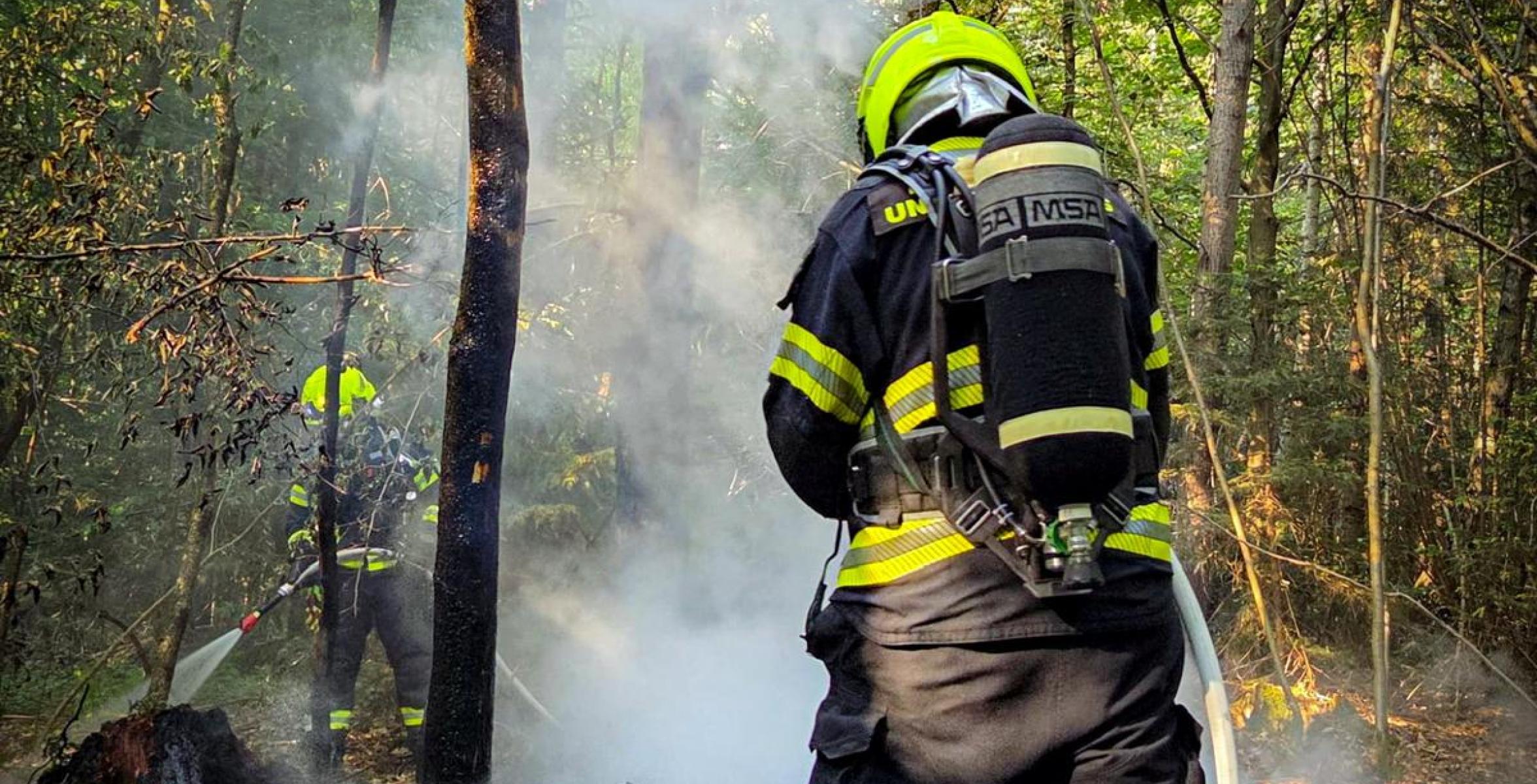Feuerwehr Waldbrand