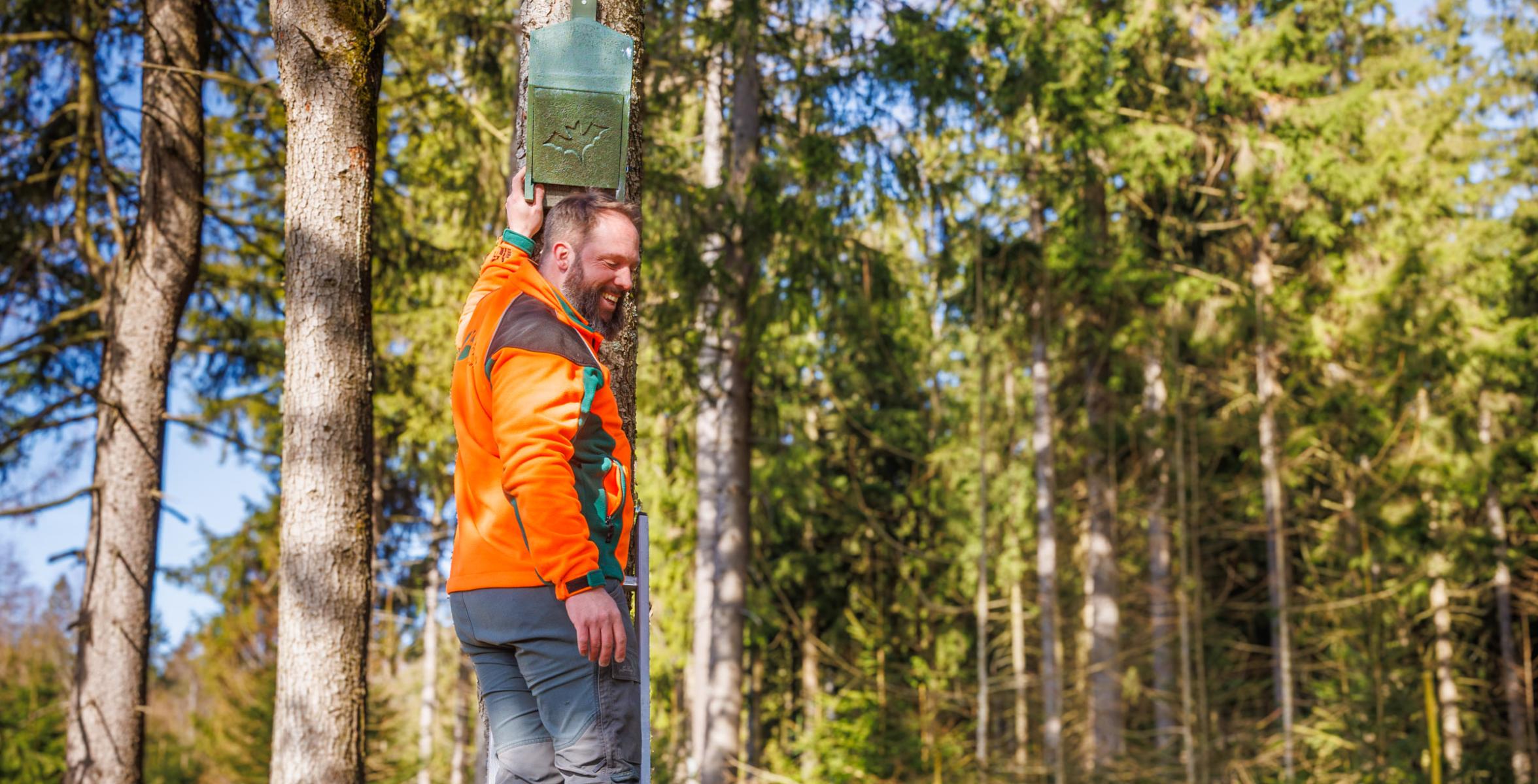 2 FörsterInnen beim Artenschutz der Fledermäuse im Wald