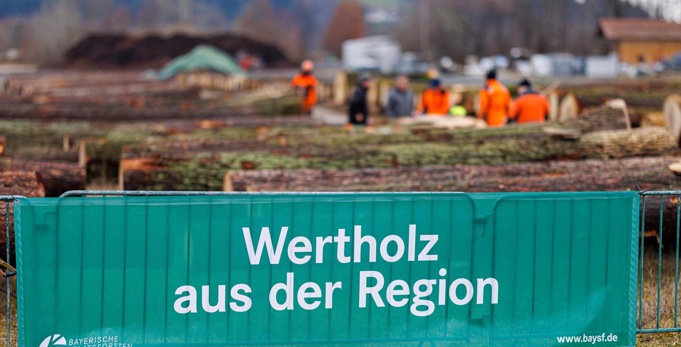 Banner mit der Aufschrift &quot;Wertholz aus der Region&quot;