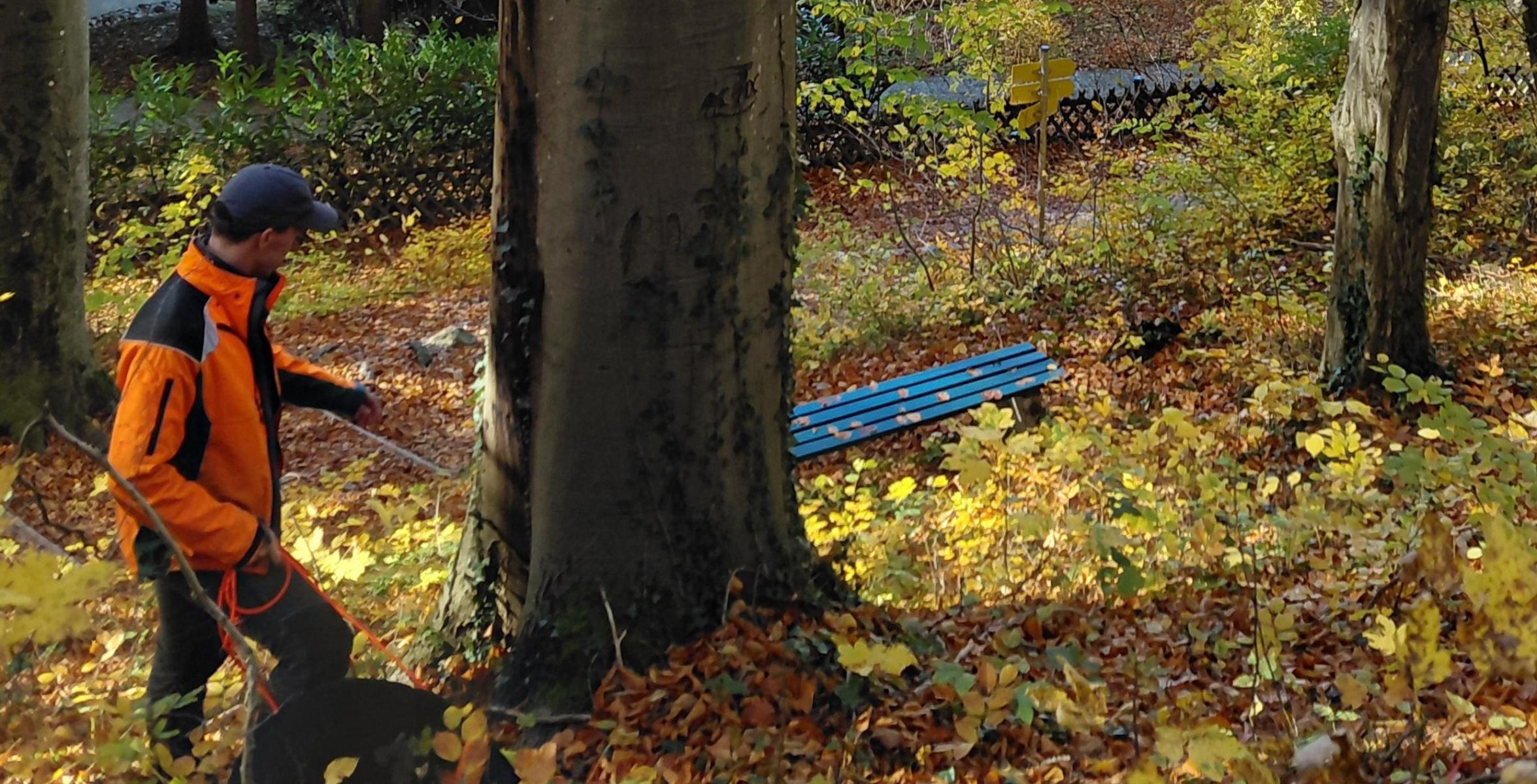 Förster steht vor kranker Buche, im Hintergrund ein Haus