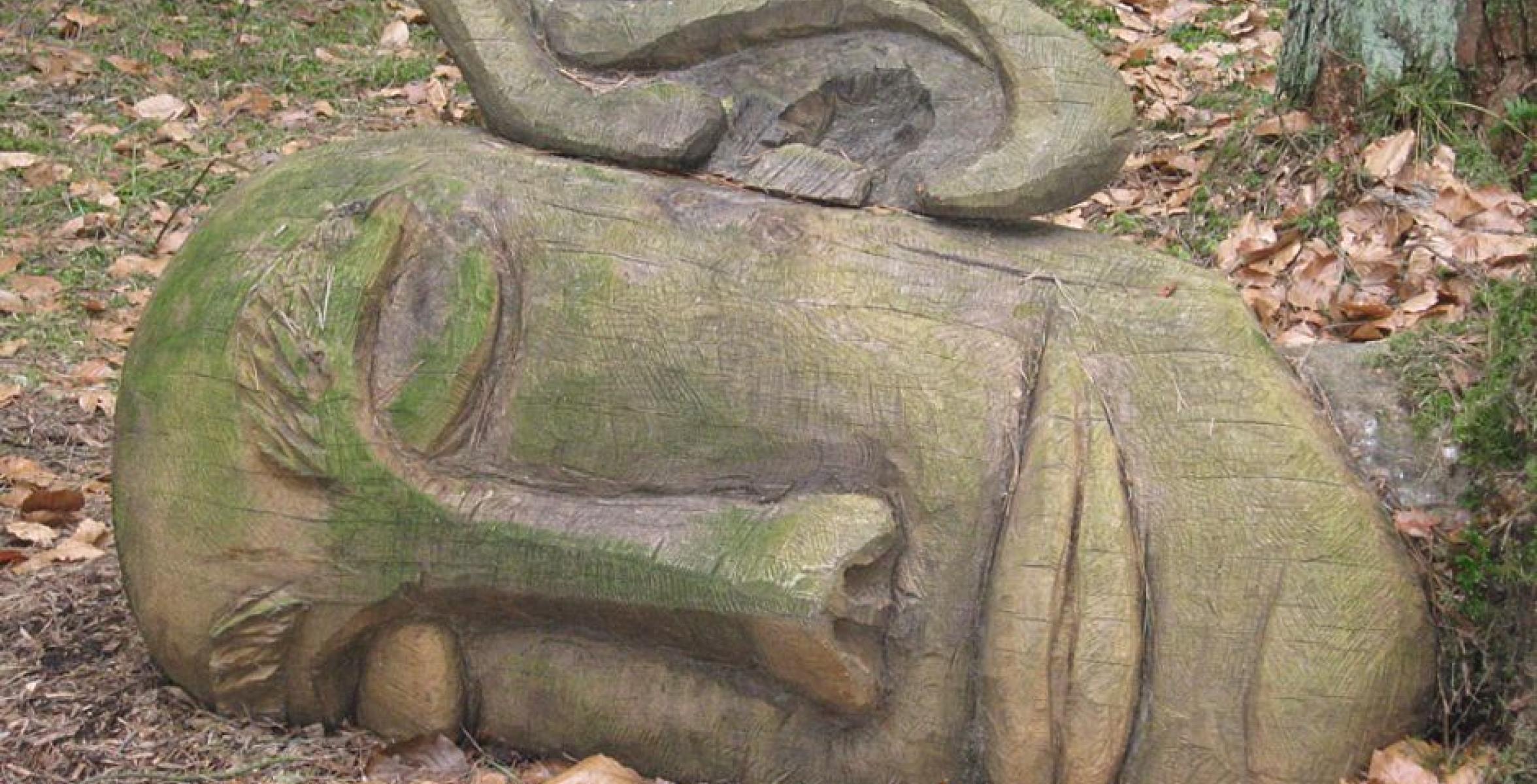 Kopf auf Holz