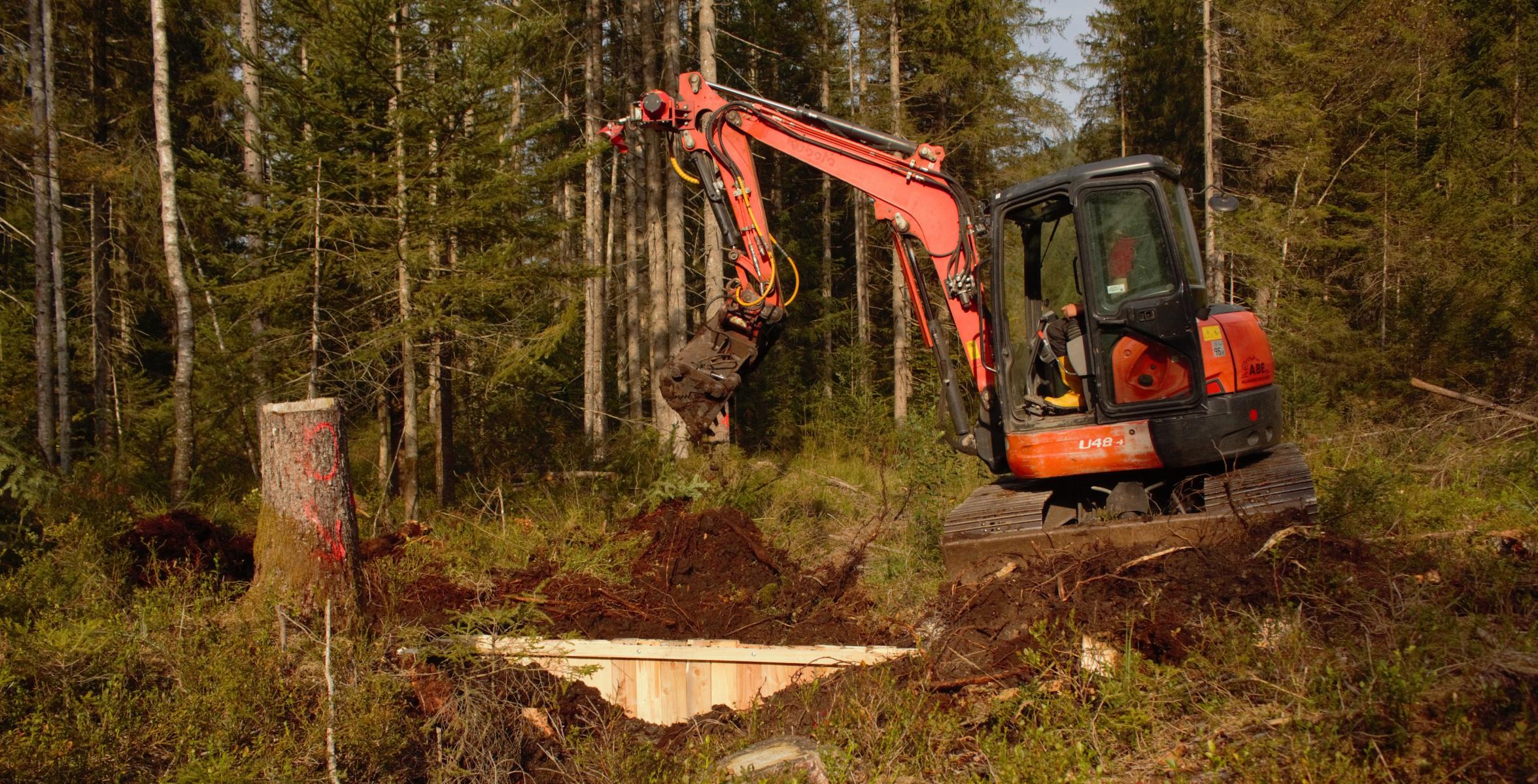 Renaturierungsmaßnahmen im Moorgebiet