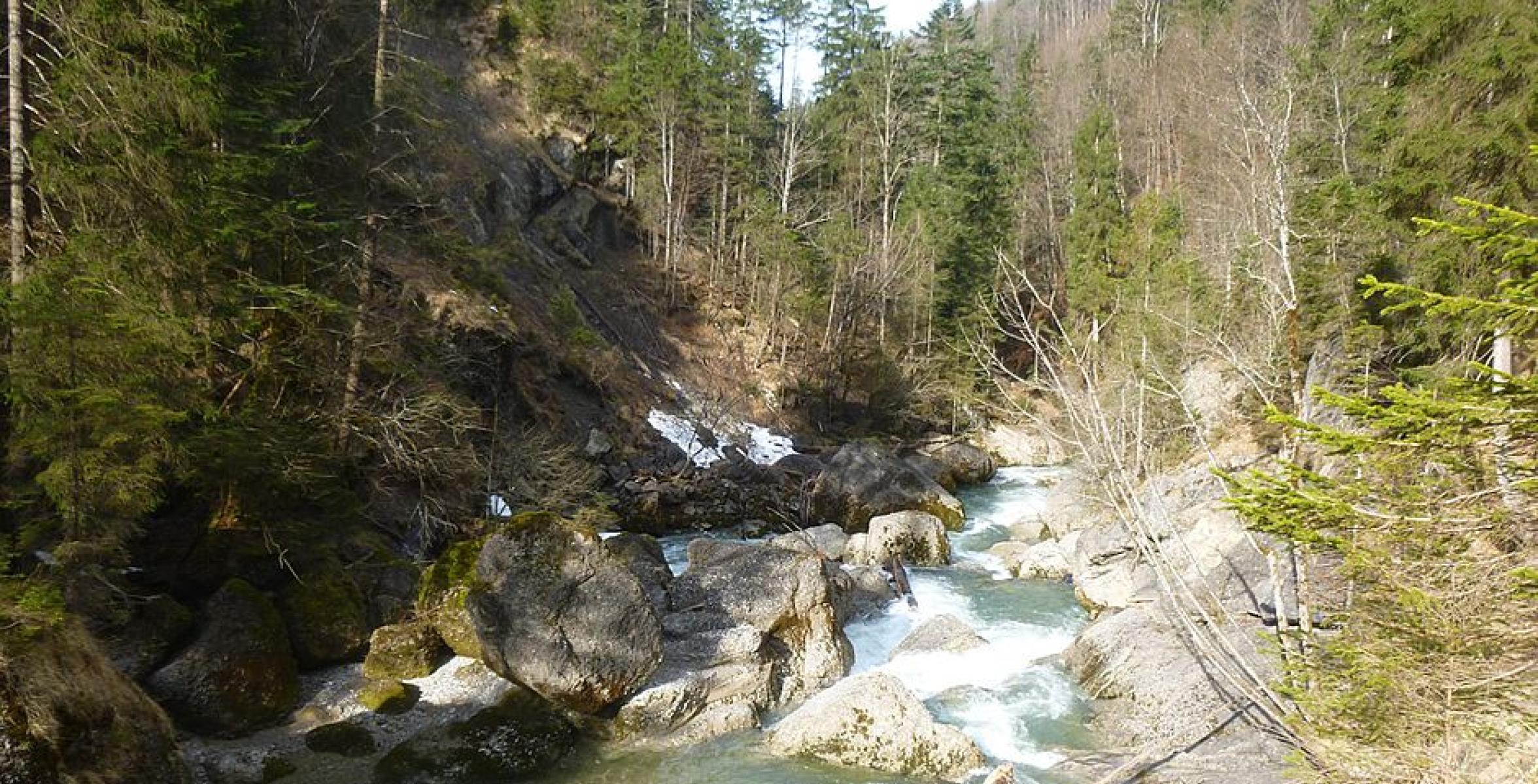 Tal mit See und Bäumen