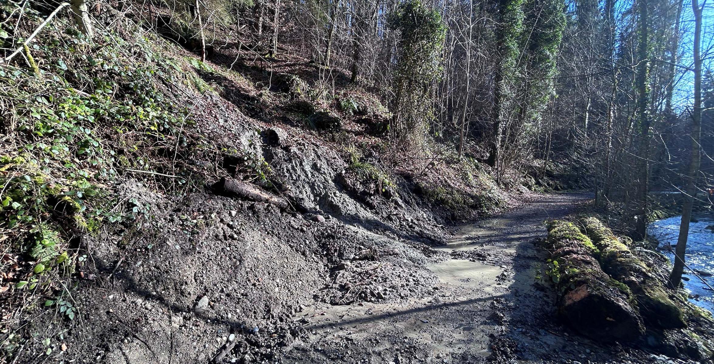 Abgerutschter Hang im Wald