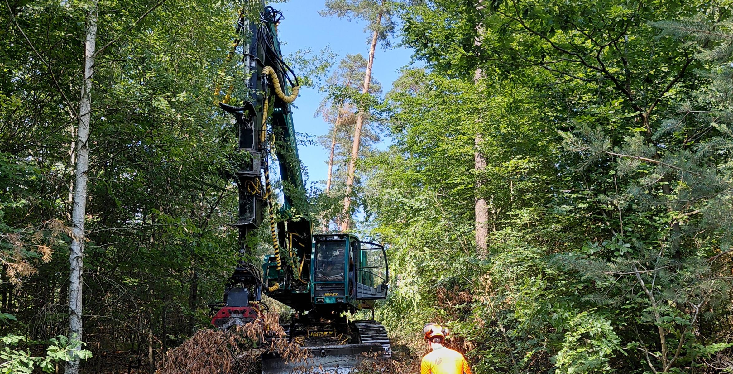 Stehendentnahme-Harvester in Rückegasse