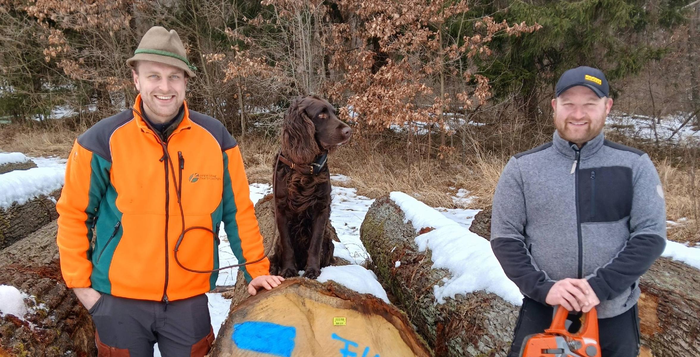 Förster mit dem wertvollsten Stamm der Submission
