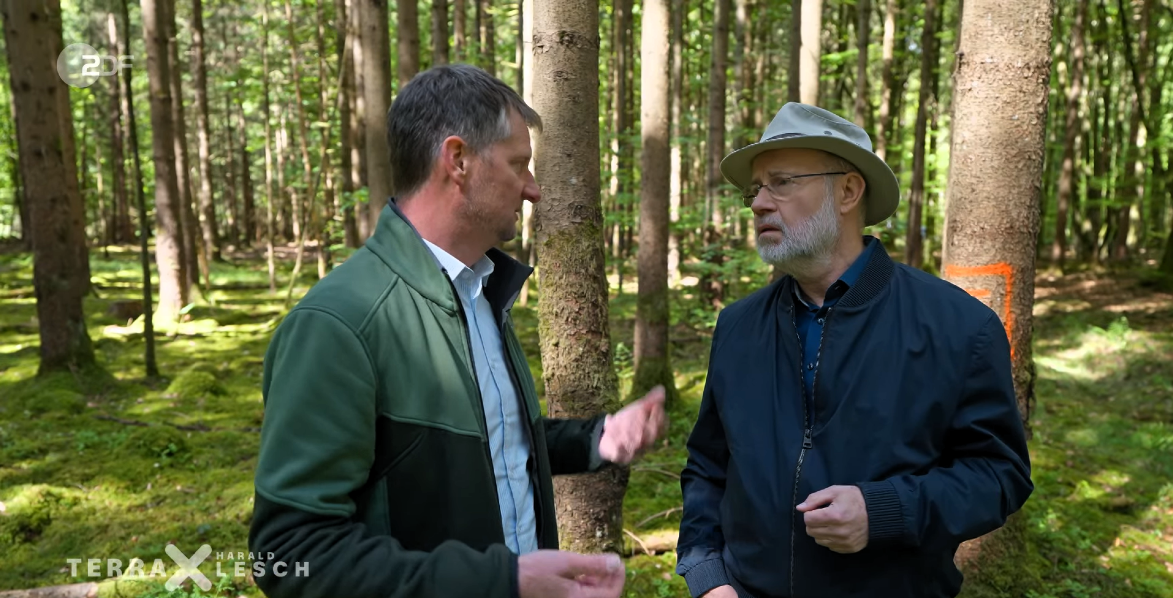 Joachim Keßler und Harald Lesch diskutieren im Wald