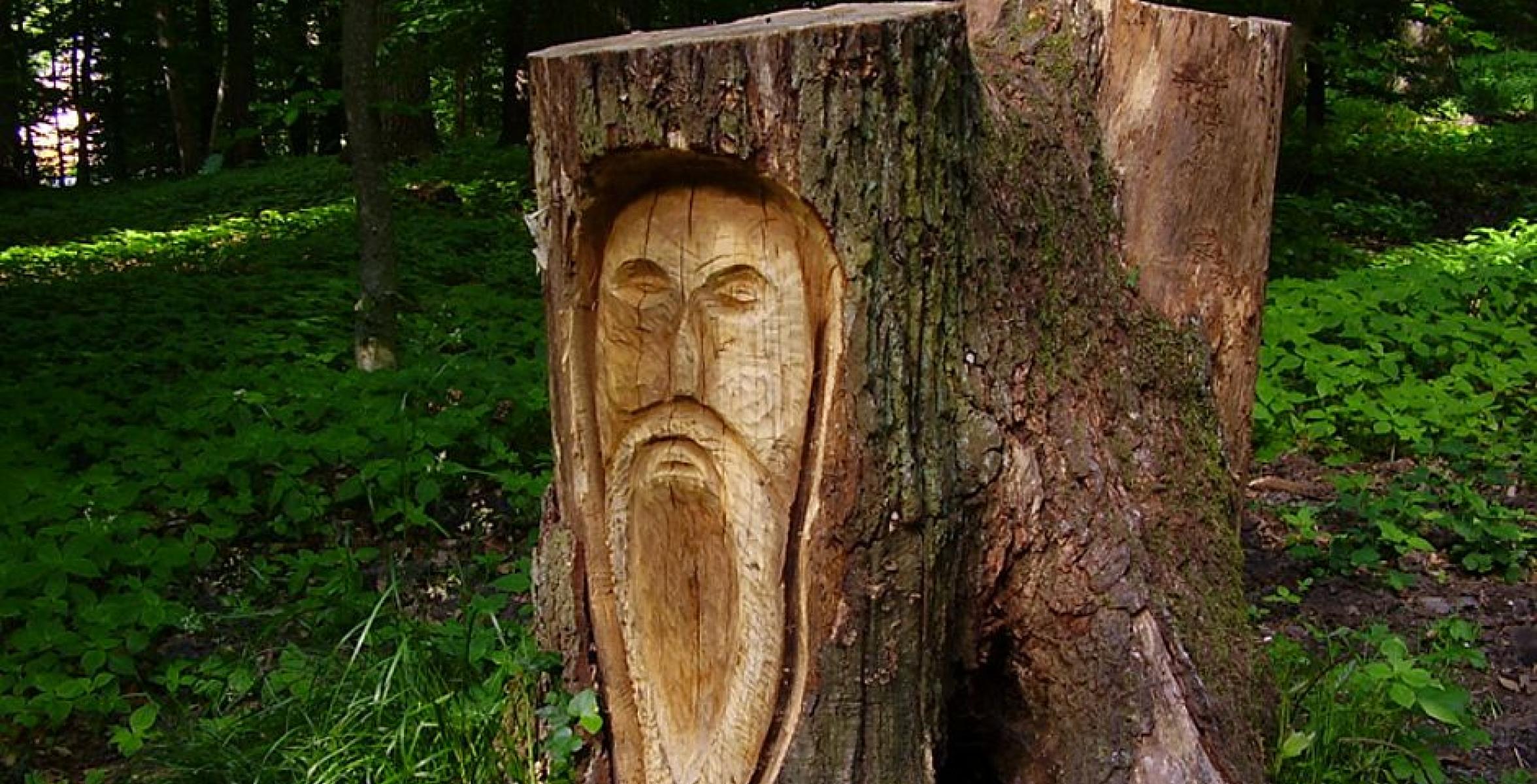 Baumstamm mit Einschnitzungen