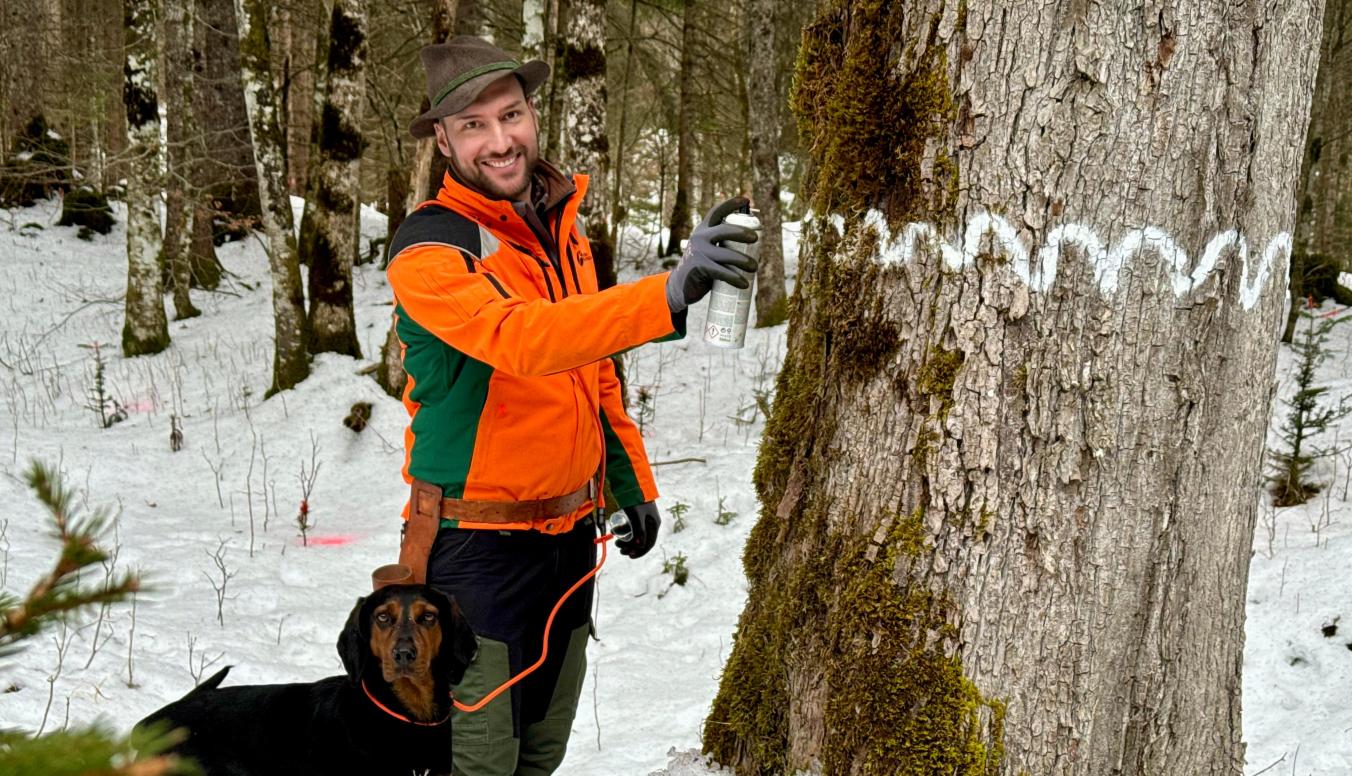 biotopbaum-wellenlinie-adrian-oberhaus-markierungen