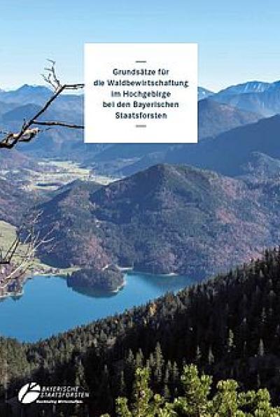 Bergwaldrichtlinie