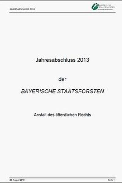 Jahresabschluss 2013