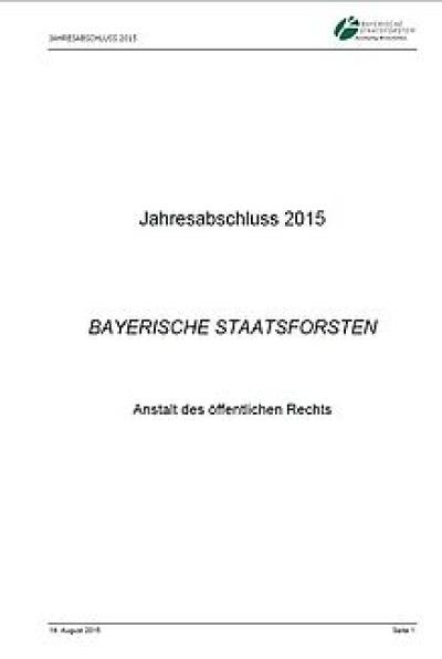 Jahresabschluss 2015