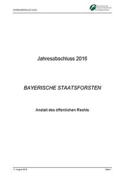 Jahresabschluss 2016